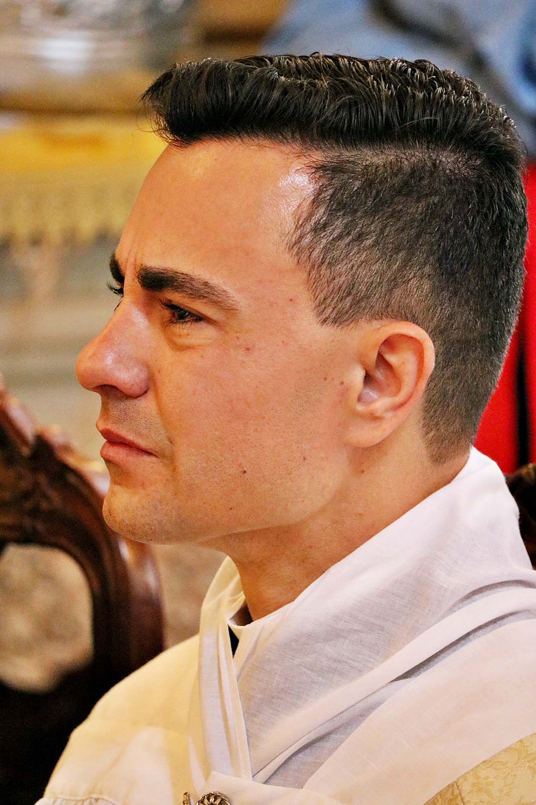 Ordenação padre Ronan013