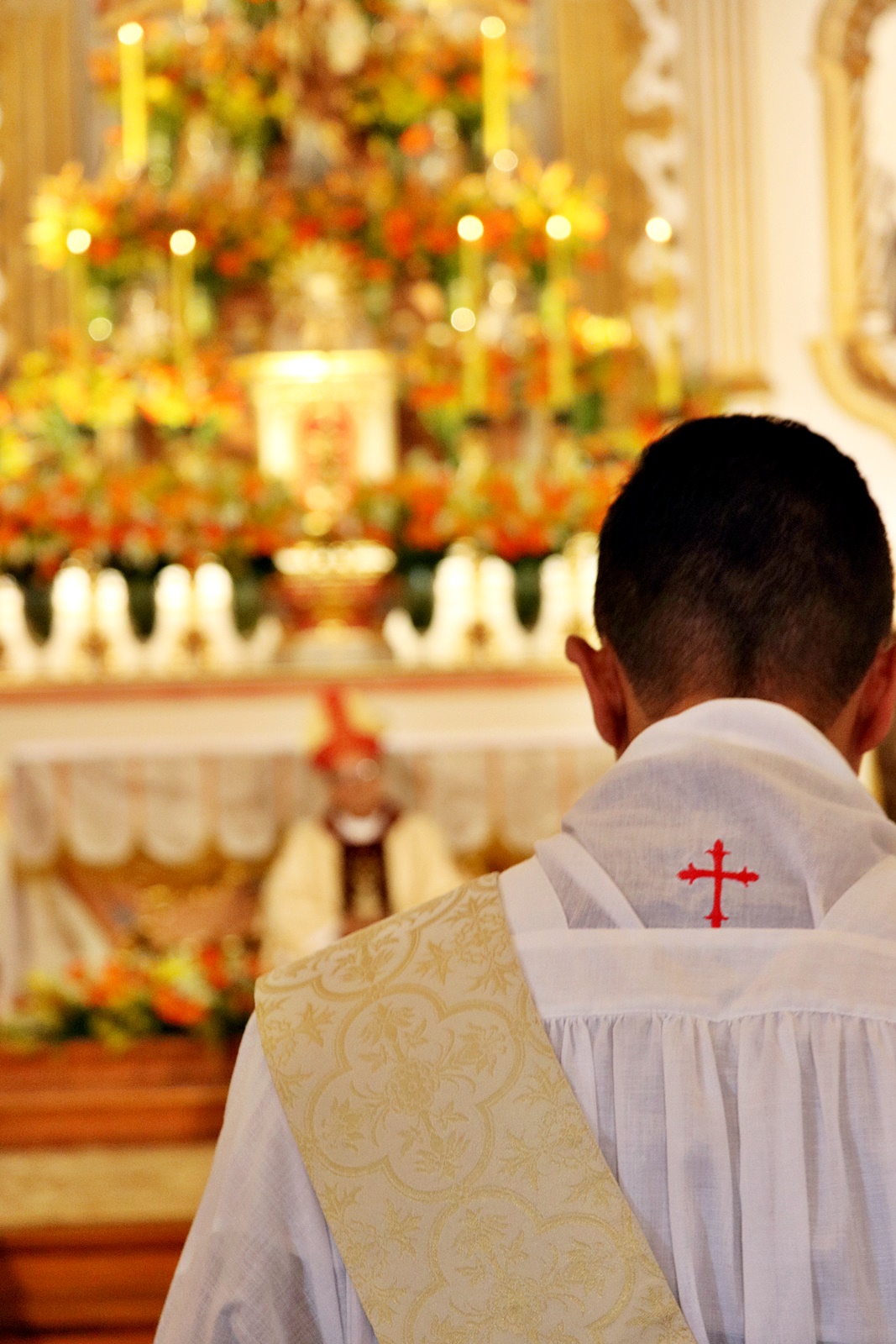 Ordenação padre Ronan021