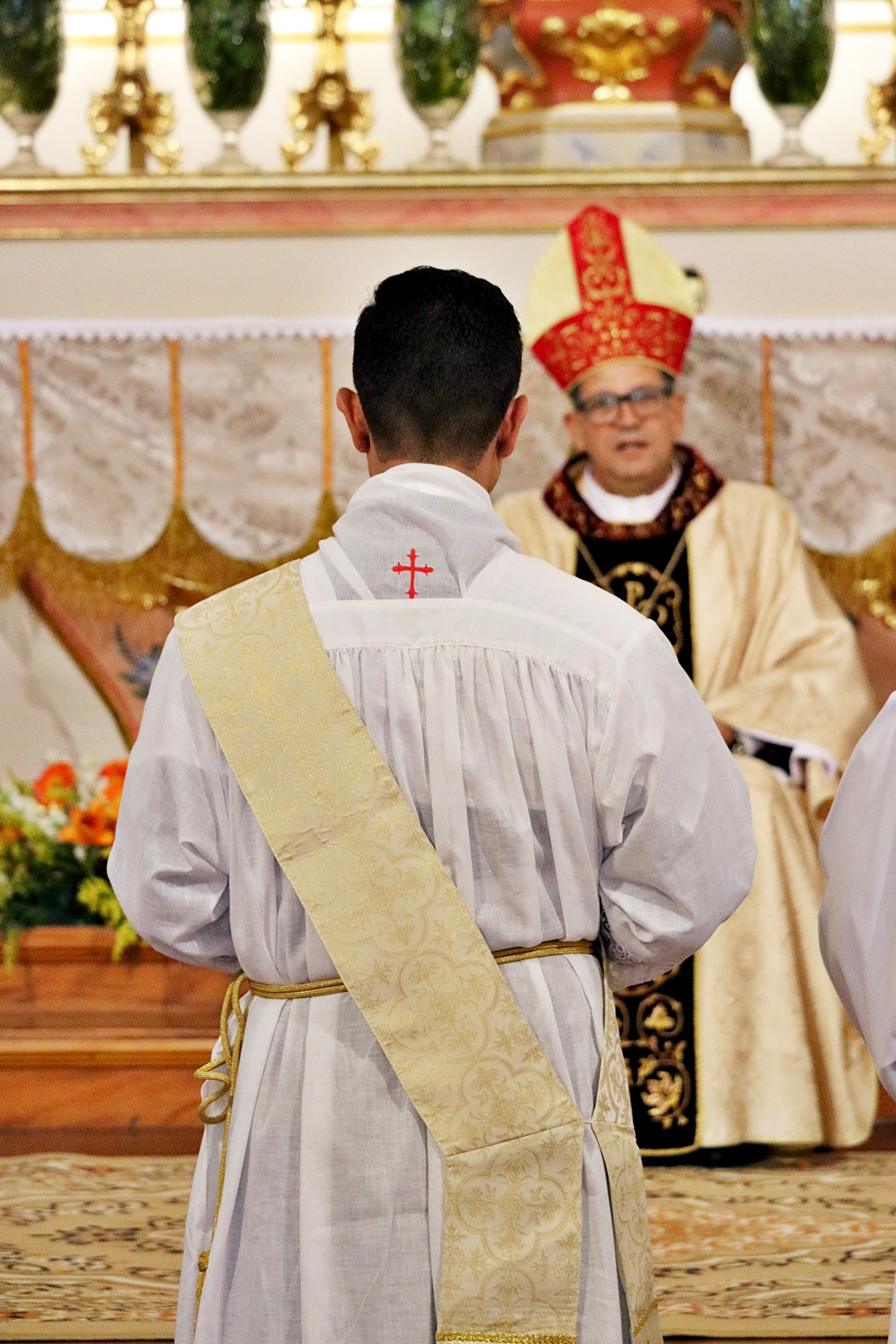 Ordenação padre Ronan022