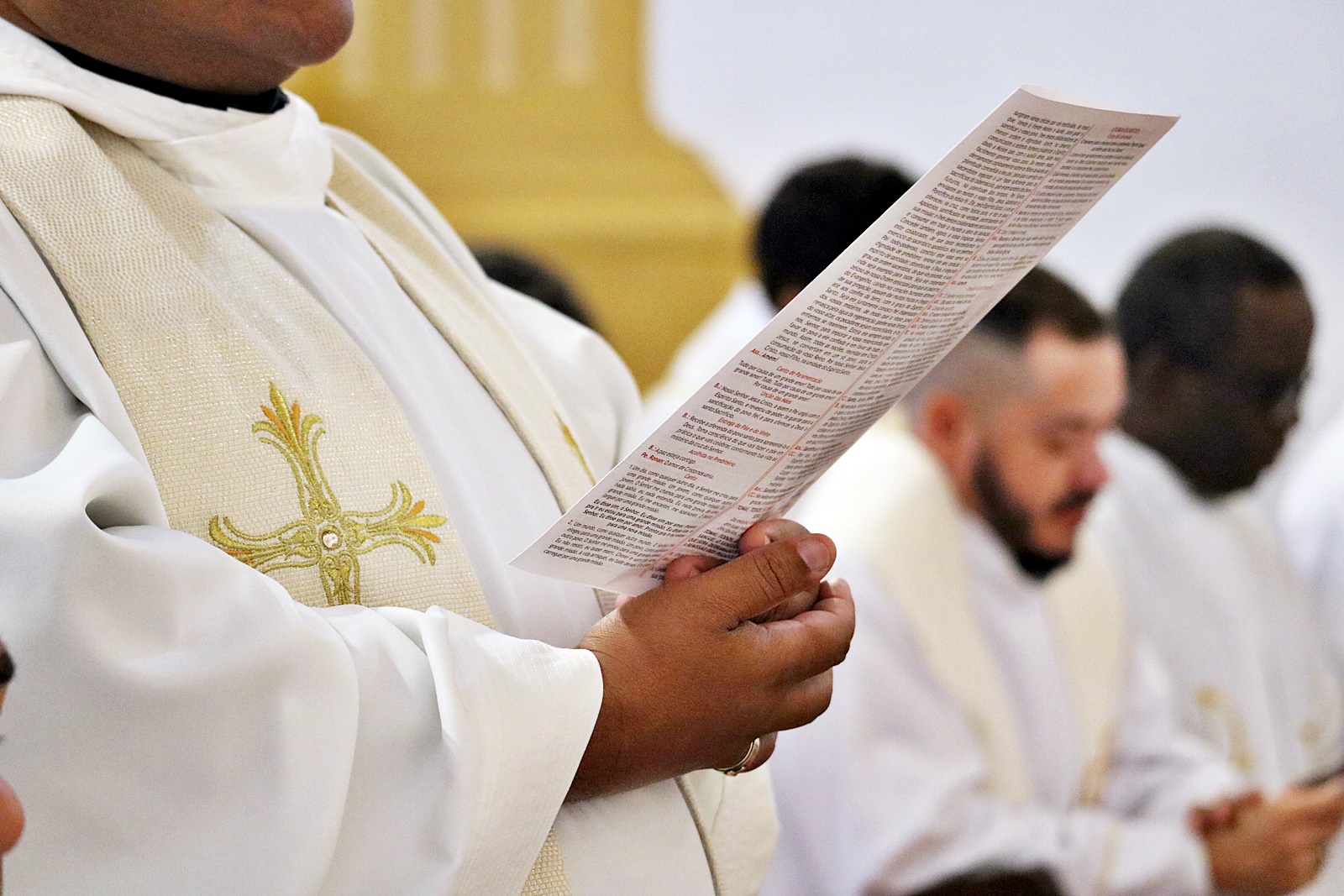 Ordenação padre Ronan036