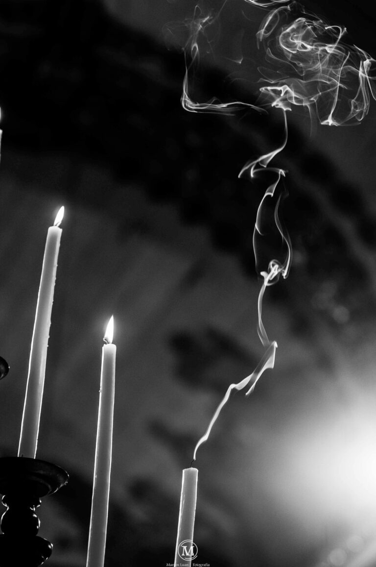 340455601_1198595294127280_3512521432386467171_n