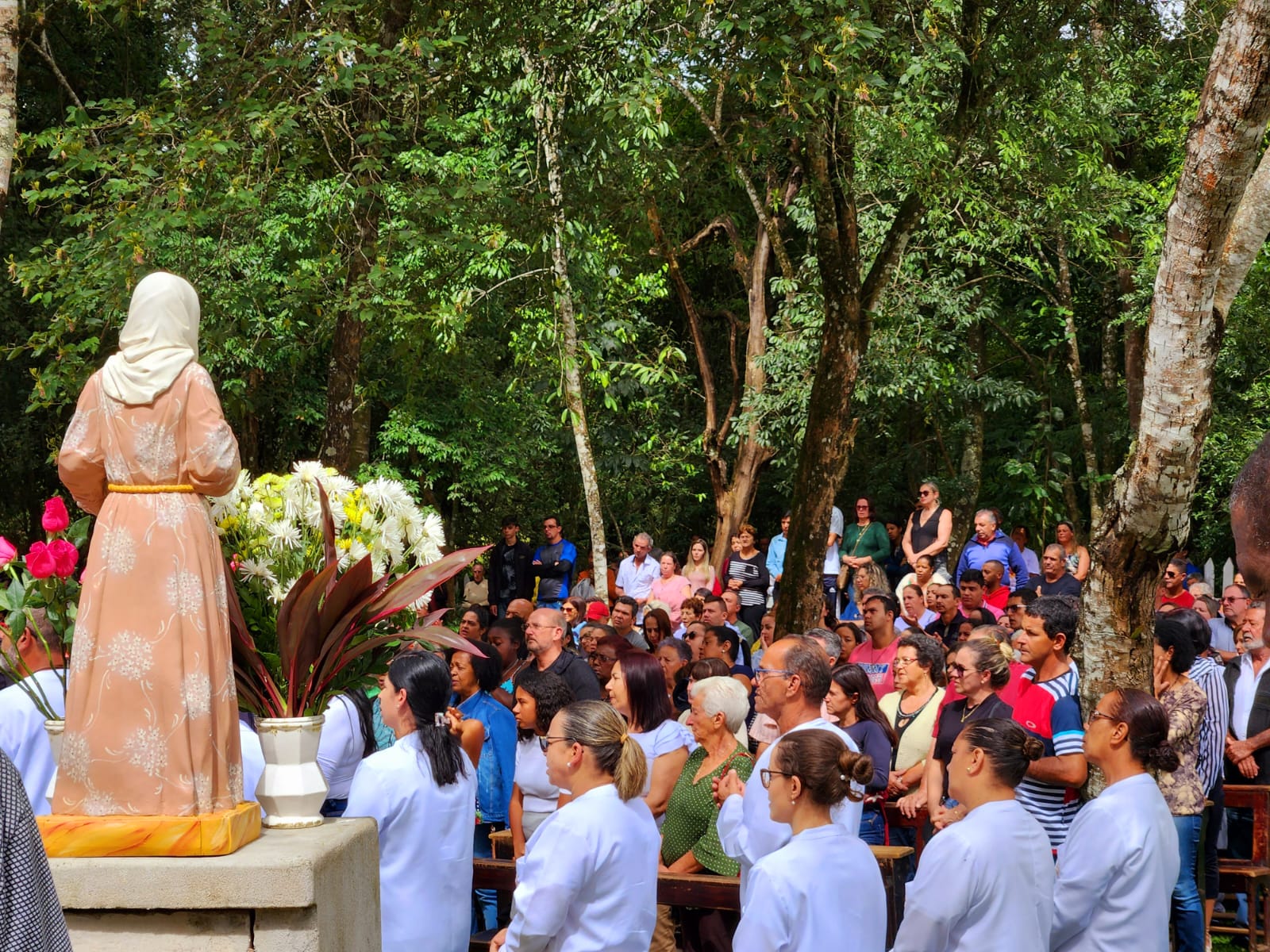 342641492_246028334668605_4616062327550810622_n