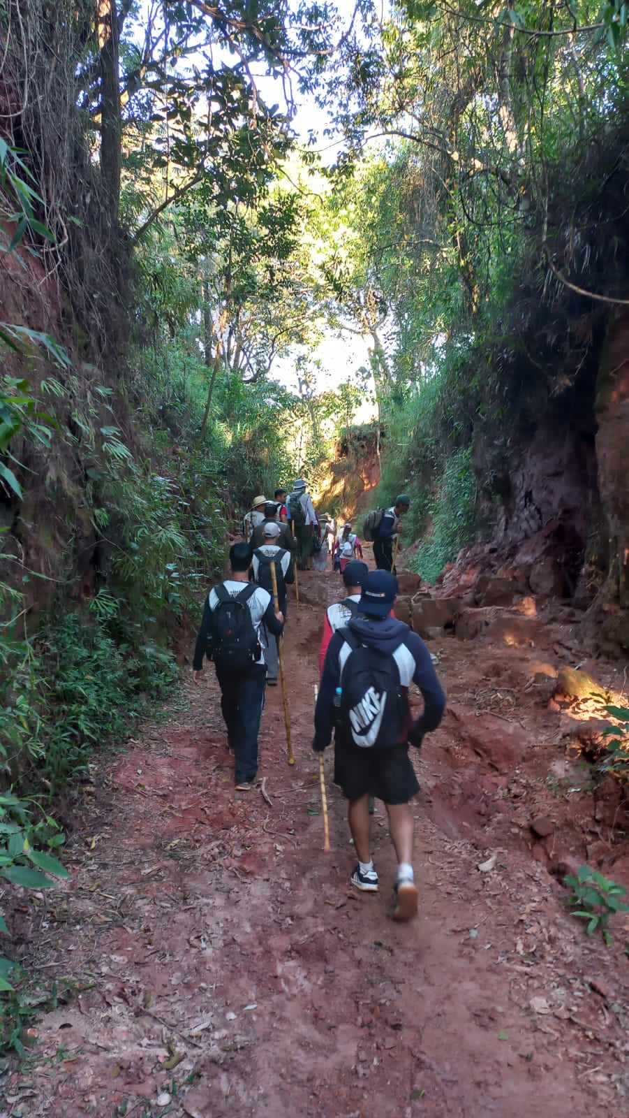 7320891a-16d2-408b-8563-5b69d6685418