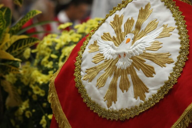 349181438_1452596255460538_3002196787912515509_n