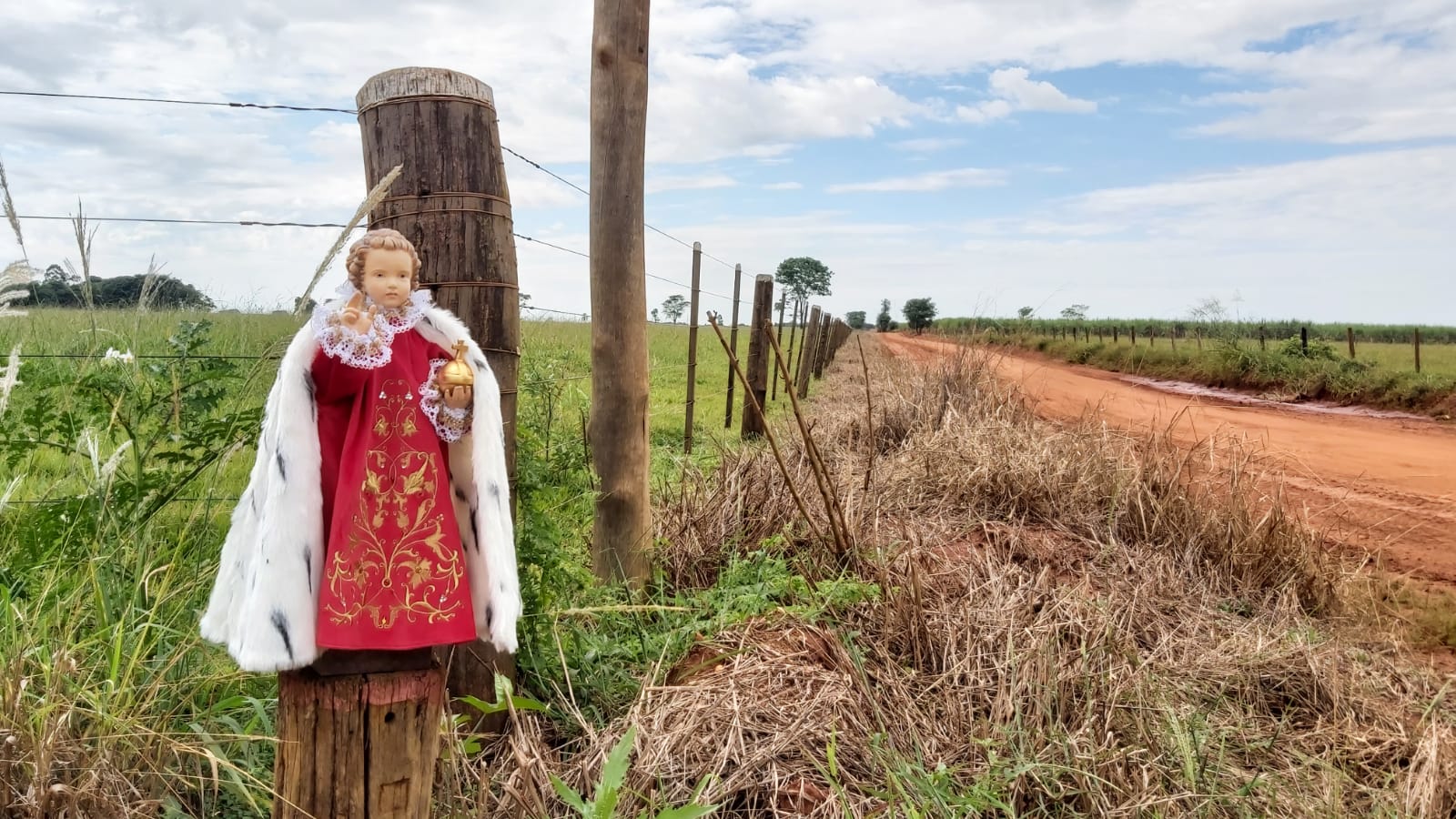 8446df0b-1067-4c31-8cf4-ff49c9a386fd