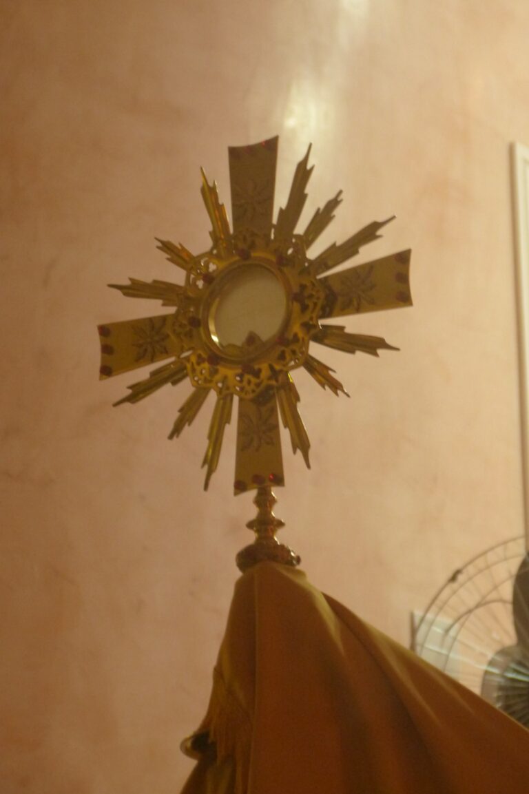 WhatsApp Image 2023-05-30 at 11.23