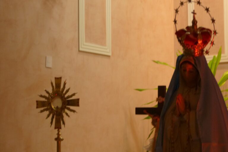 WhatsApp Image 2023-05-30 at 11.23