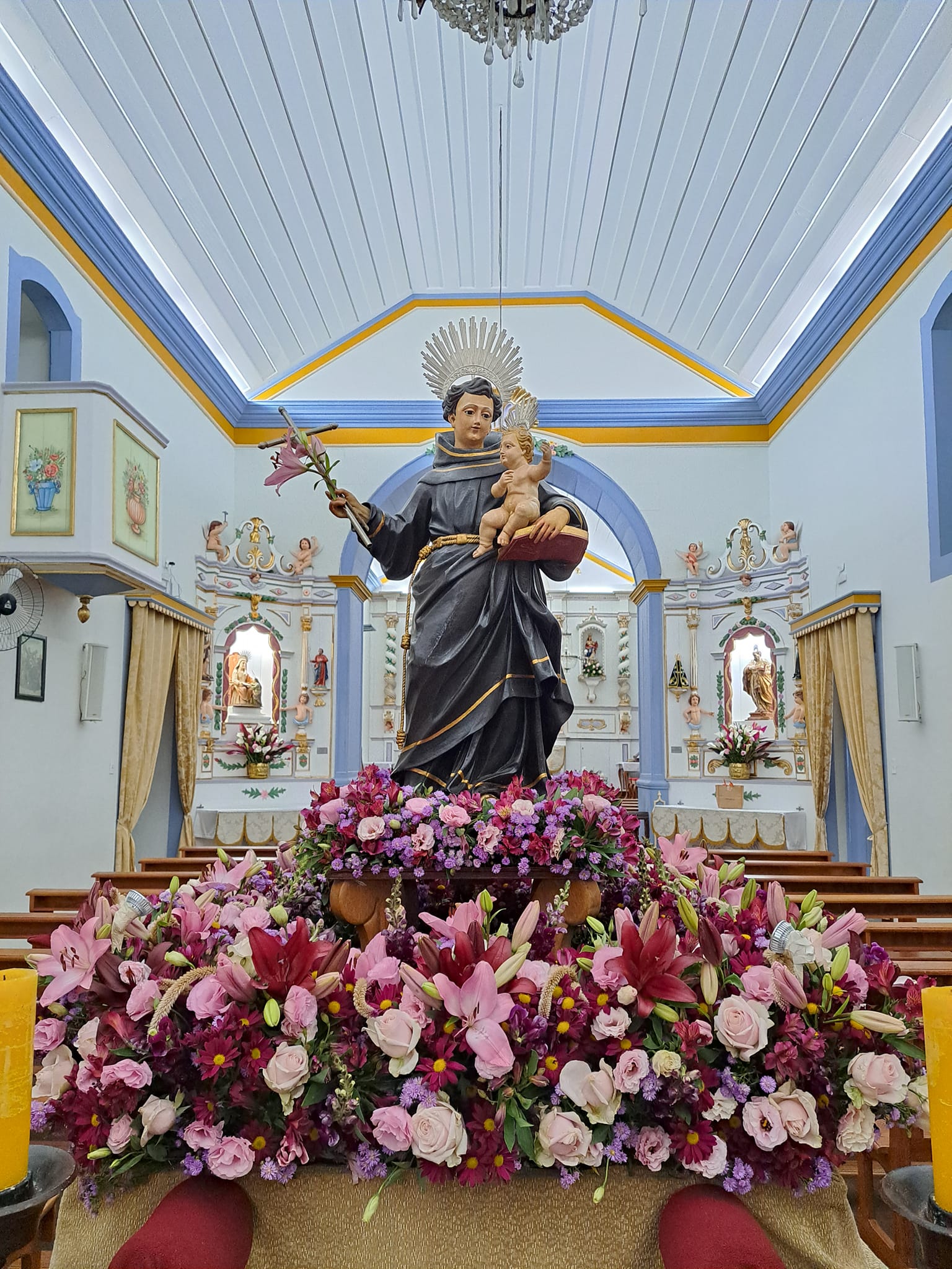 354048223_649850033848698_5223435948482239057_n