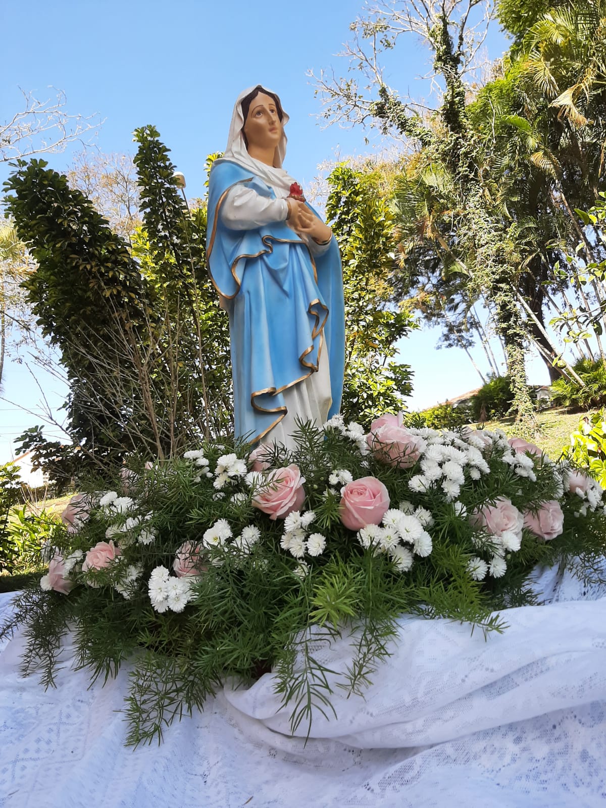 WhatsApp Image 2023-06-19 at 08.40.36 (1)