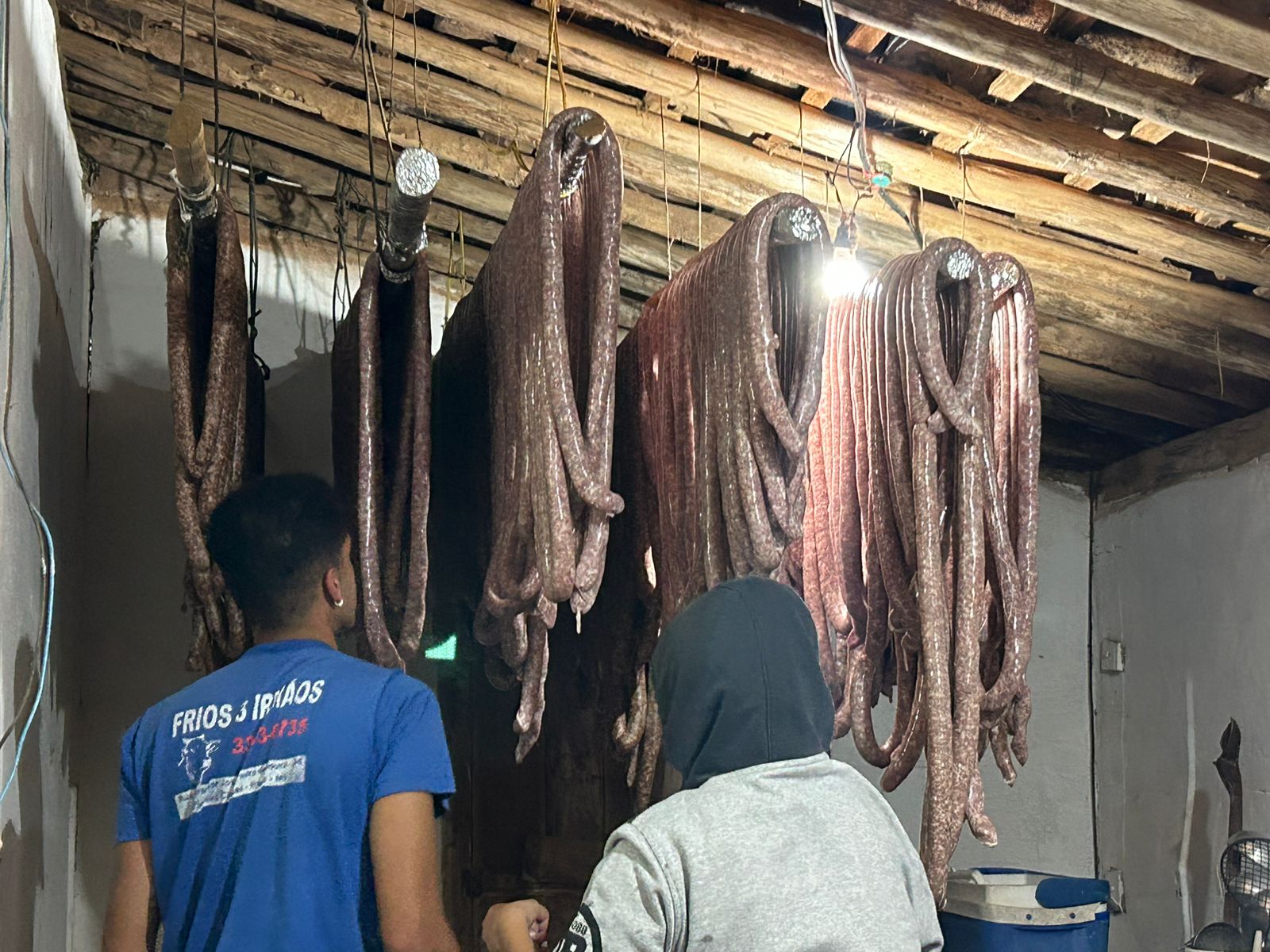 WhatsApp Image 2023-06-26 at 14.56.29 (1)