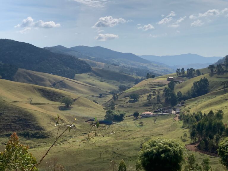 WhatsApp Image 2023-08-02 at 11.18