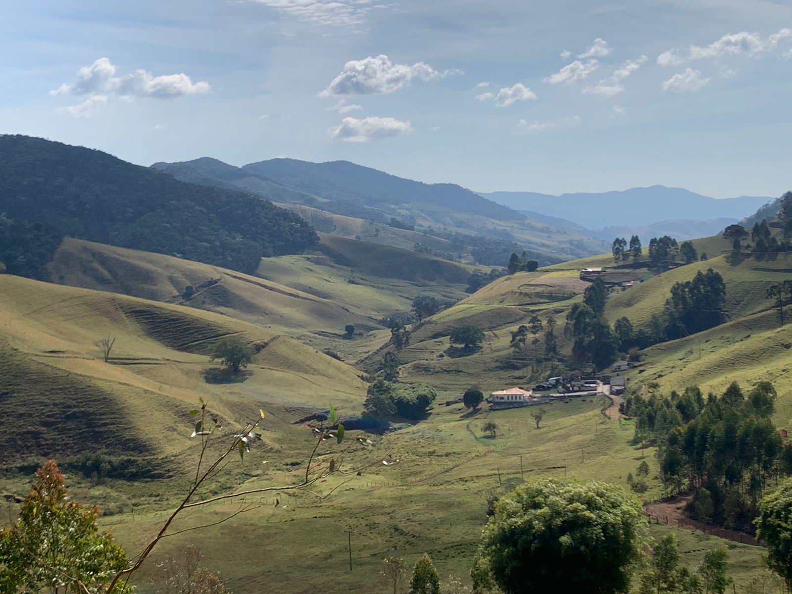 WhatsApp Image 2023-08-02 at 11.18.25 (2)