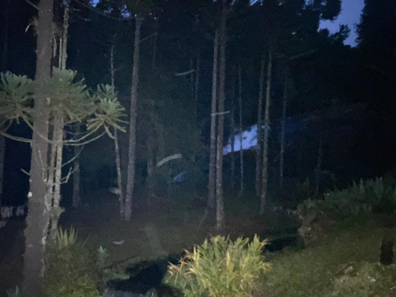 WhatsApp Image 2023-08-02 at 11.18.28 (3)