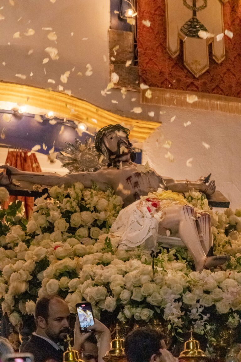 373582710_737803838386055_2709921276511731742_n