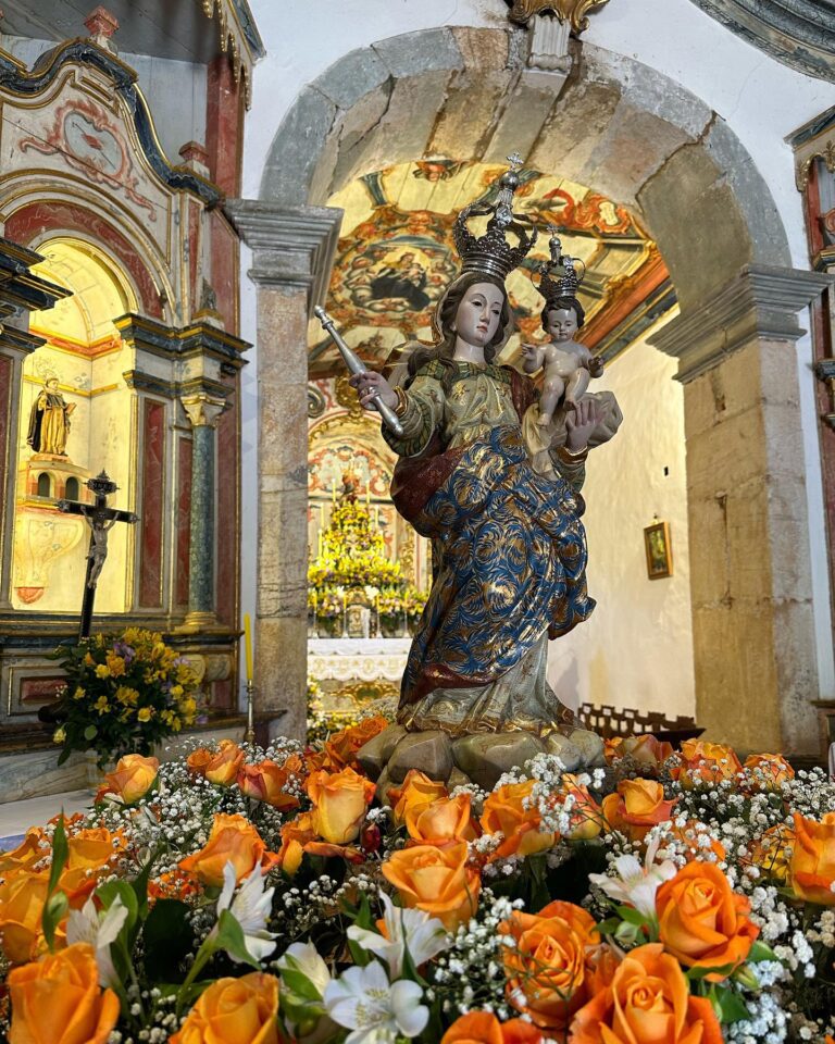 376236259_689150883241973_6861230593355568187_n