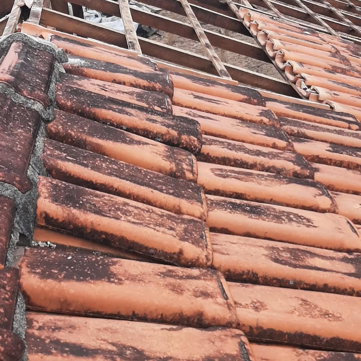 391611272_18017260519837170_2546971676523161459_n