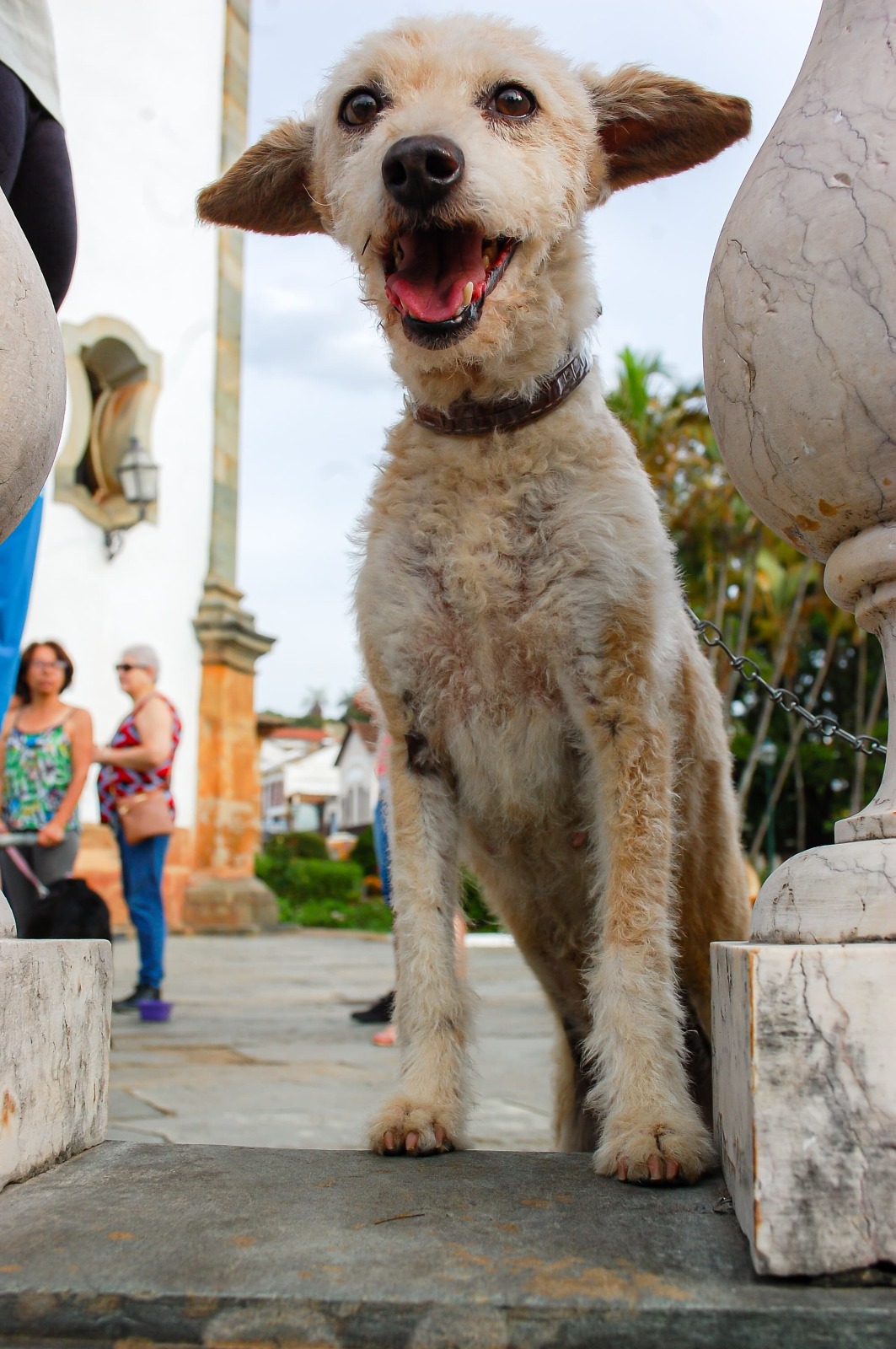 WhatsApp Image 2023-10-05 at 21.51.04 (11)