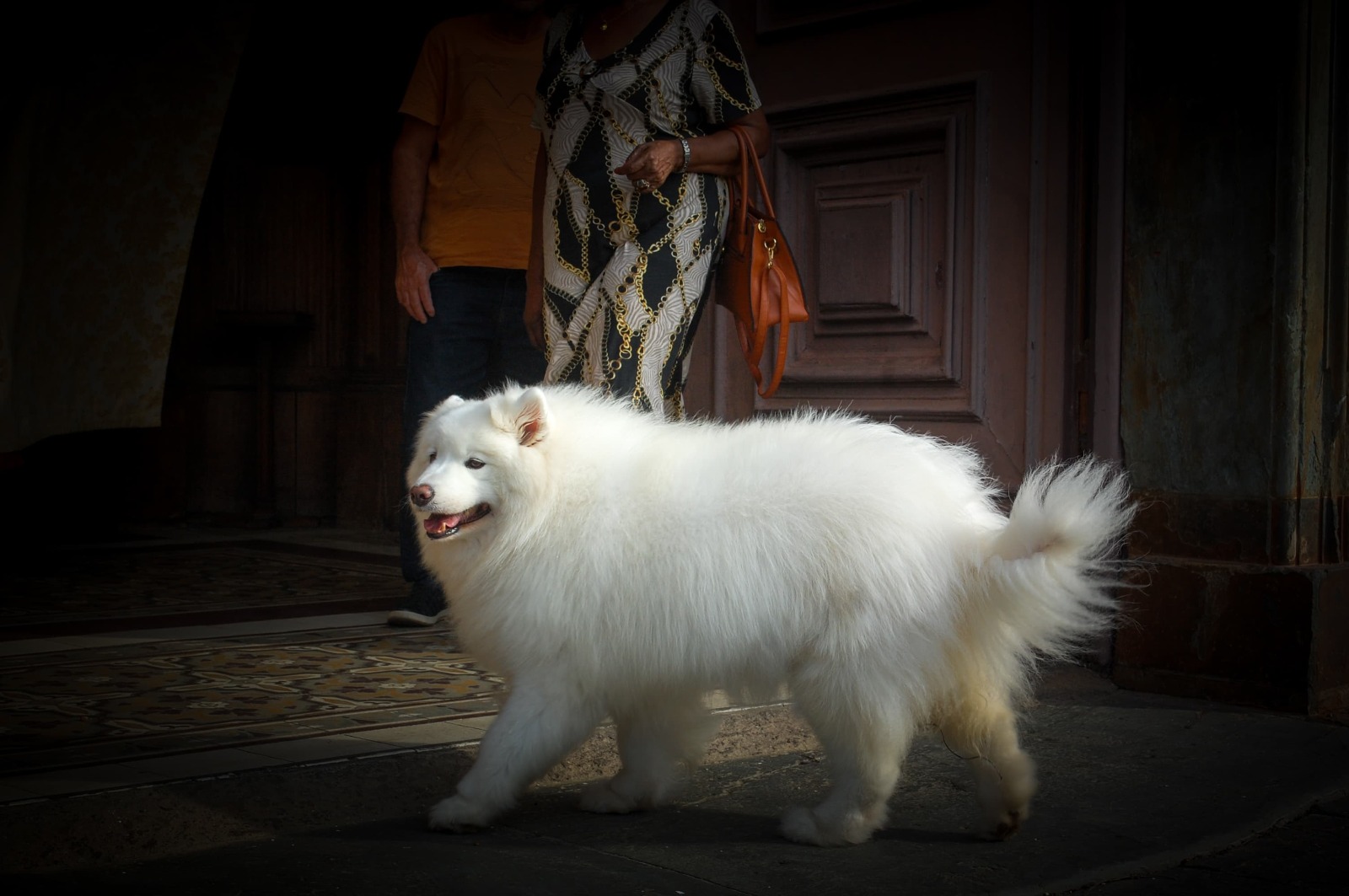 WhatsApp Image 2023-10-05 at 21.51.04 (2)