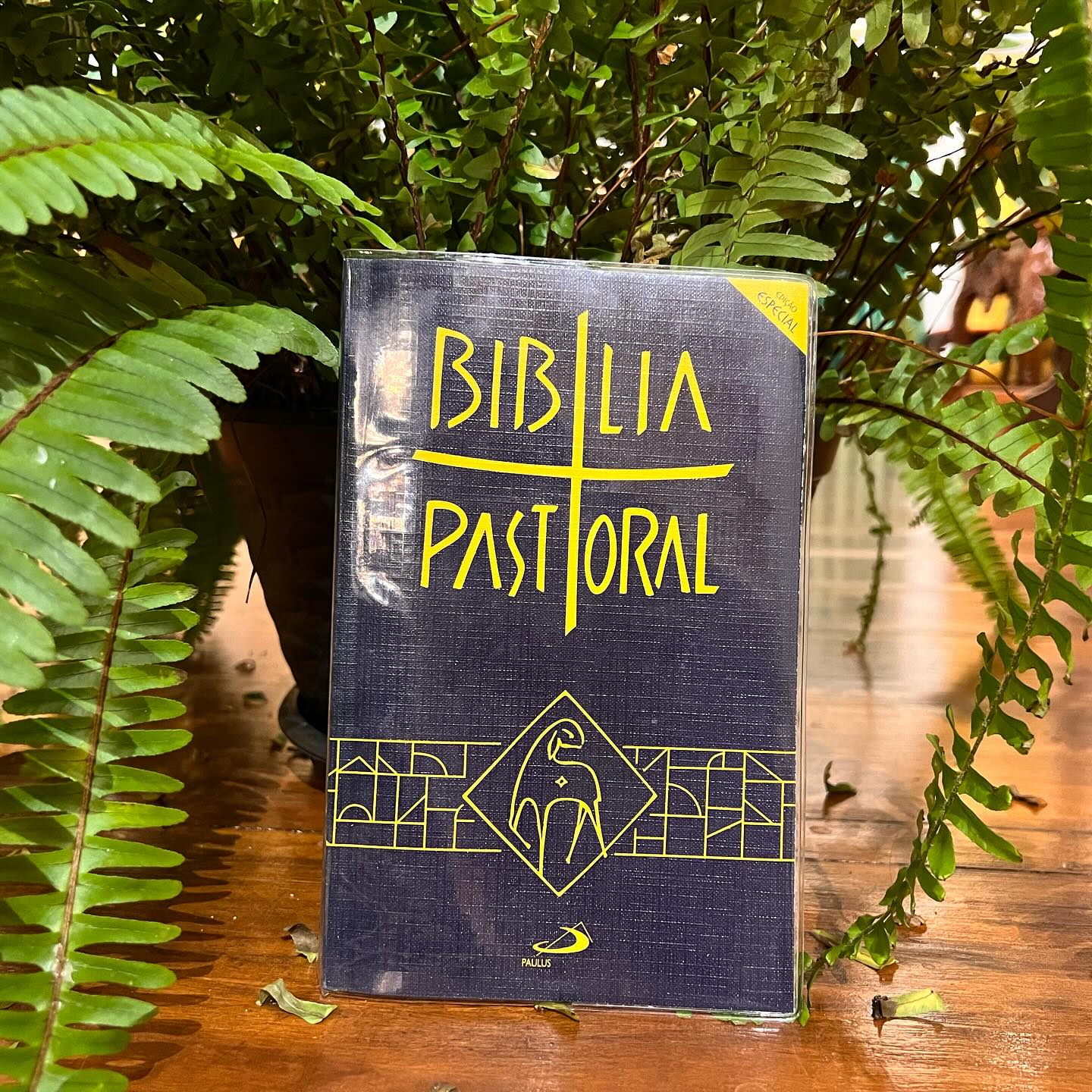 405485158_17979992528556439_118213975000628161_n