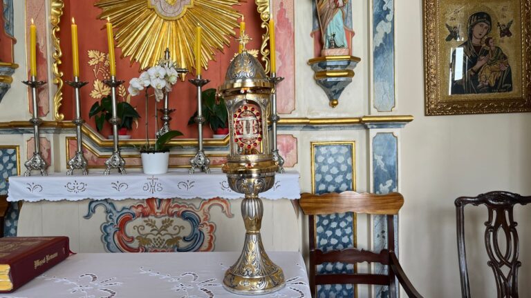 WhatsApp Image 2023-11-28 at 13.54