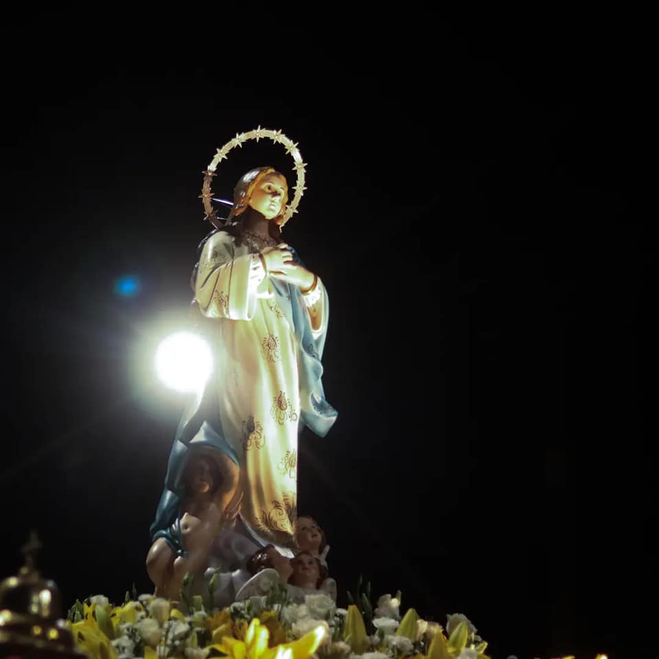 409052872_368422415700491_2278678329591039071_n