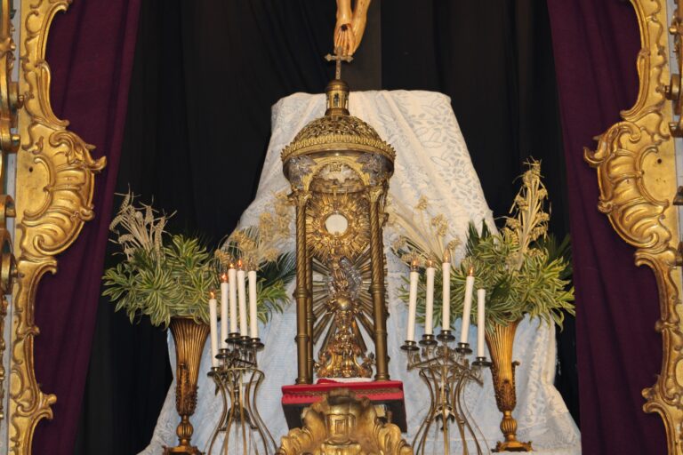 430061836_740125301568920_565832612086039180_n