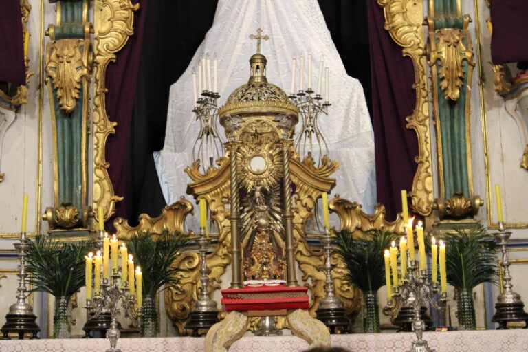 430914815_740650378183079_5216230100468952537_n