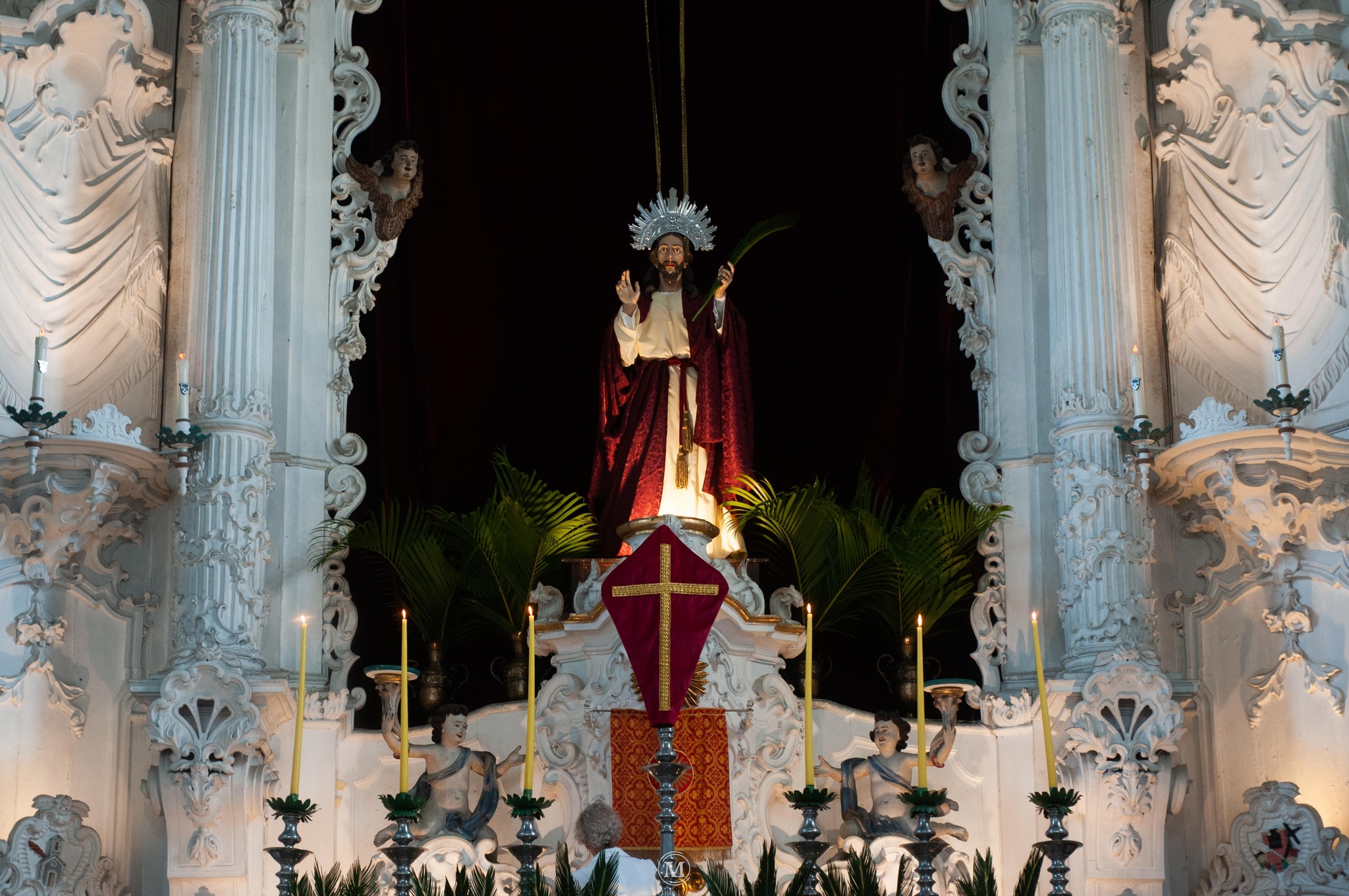 490082713_1115632563926528_8799186526357735684_n