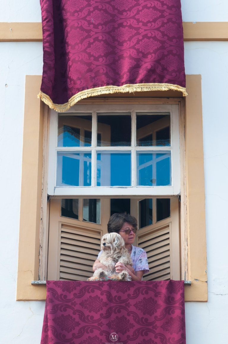 490491234_1115633493926435_4289879794149815303_n