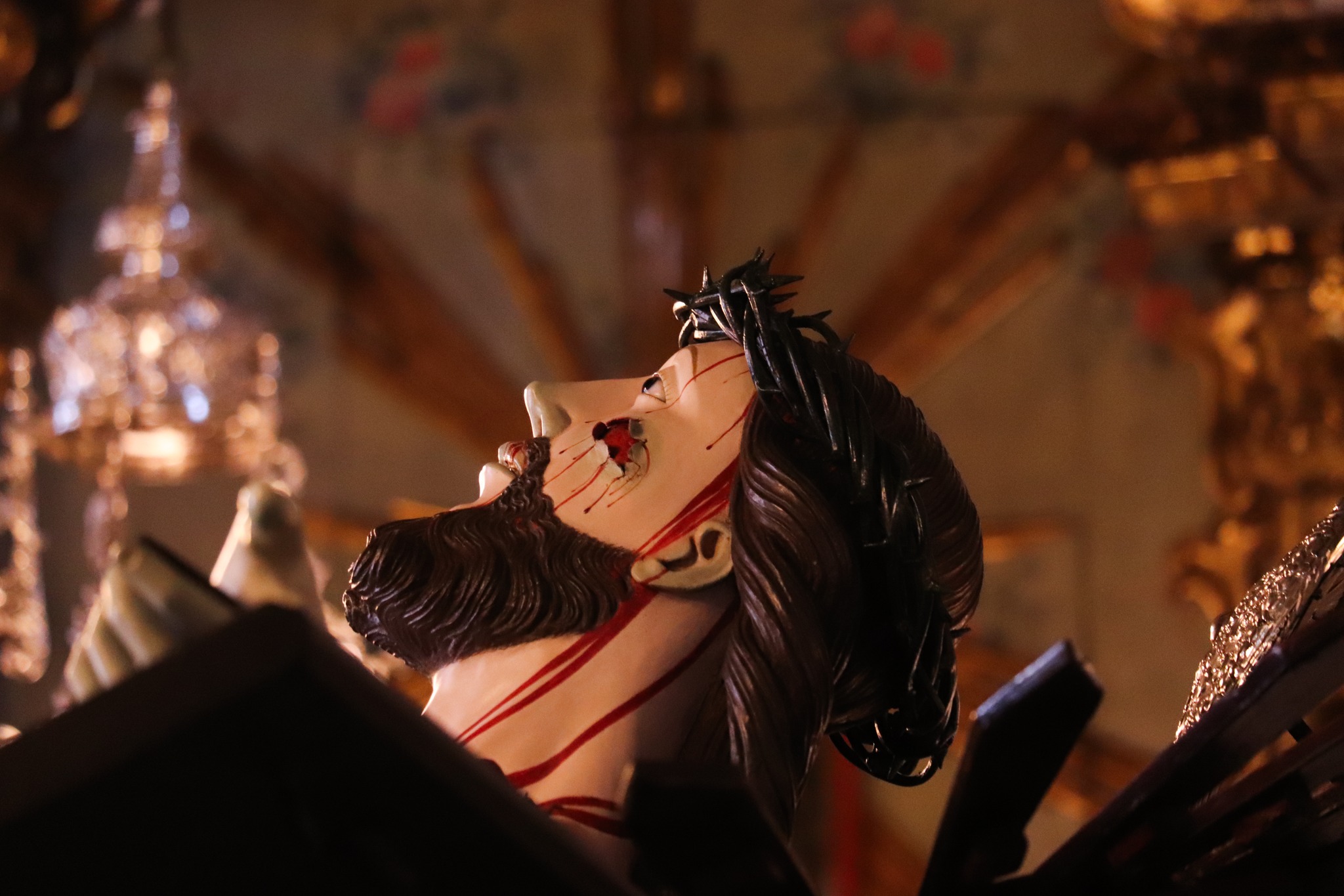 424553743_3223384041132180_1142819362698513888_n