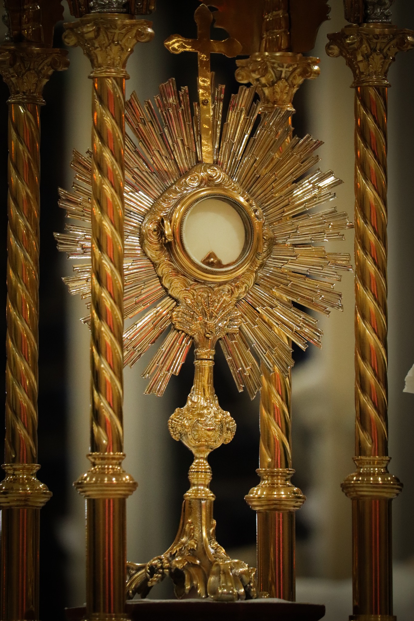 440981387_3223401527797098_6934948243427990153_n