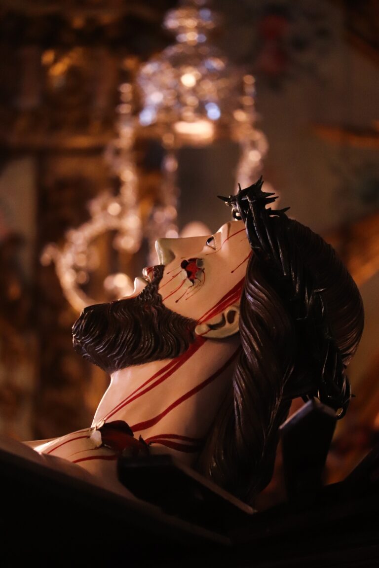 441032333_3223384471132137_1494641724216595799_n