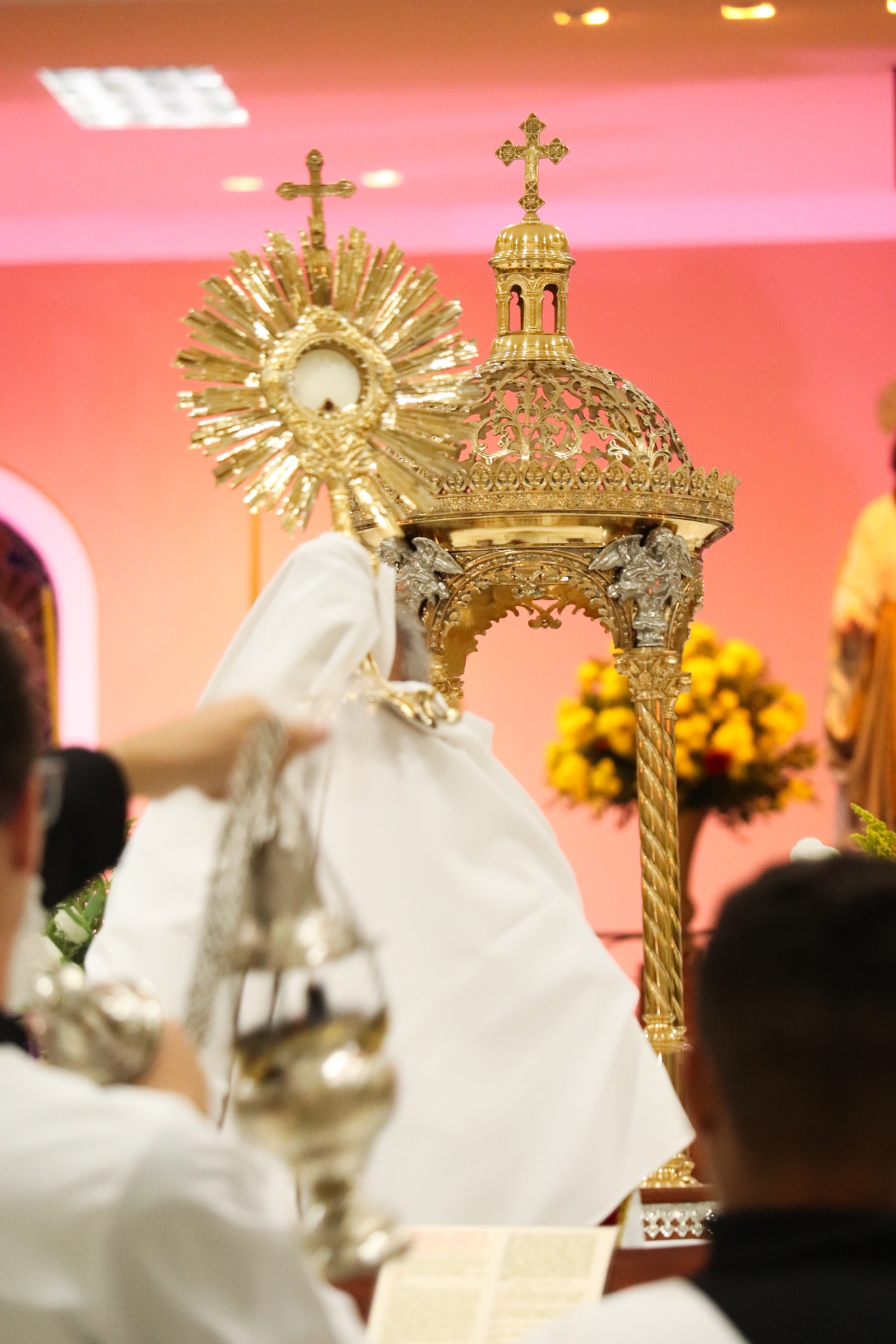 441543017_3223401841130400_2495142661673831592_n