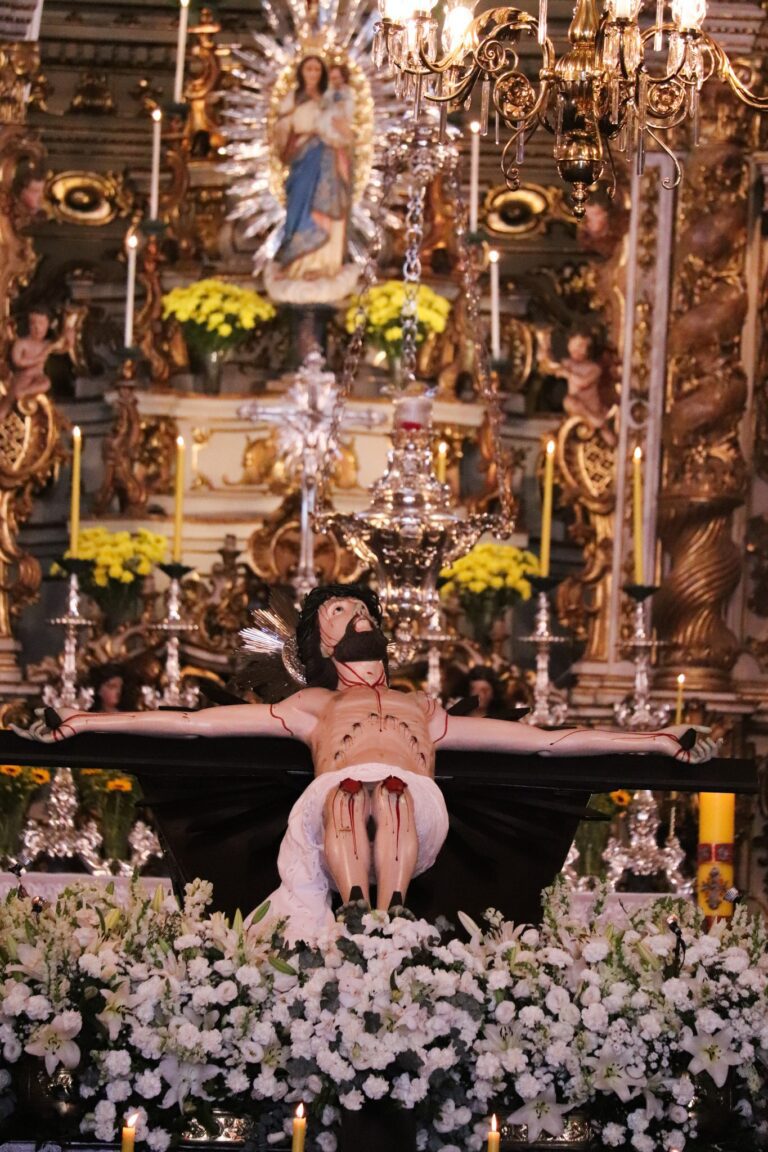 441877418_3223383984465519_1727900912773254109_n