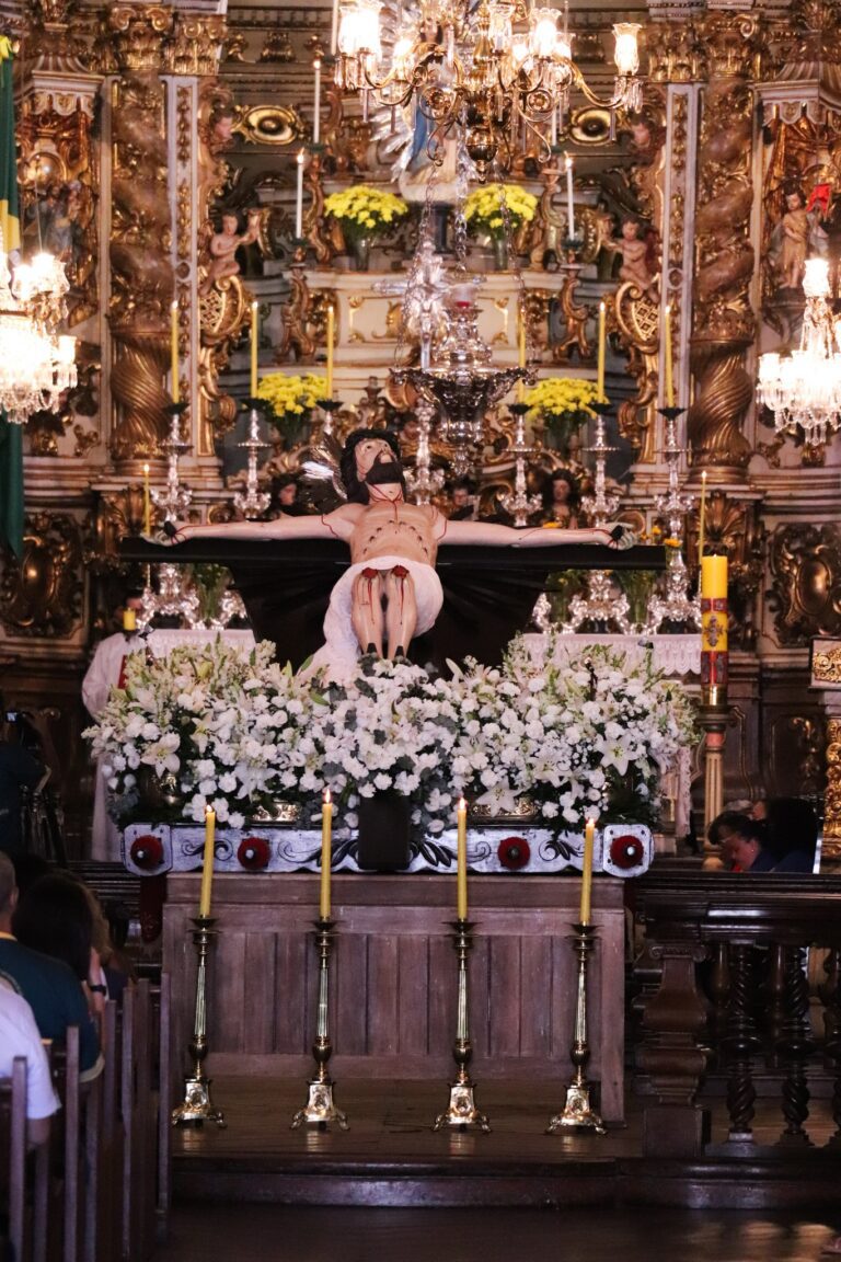 442407787_3223384381132146_1403185727593929263_n