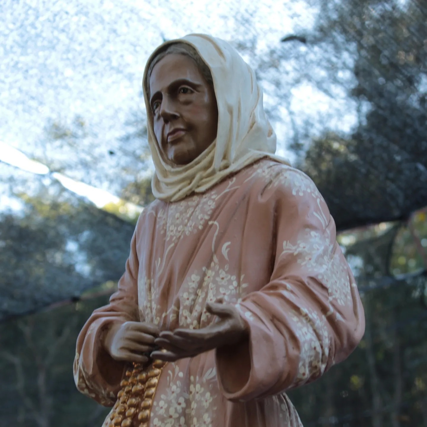 448433345_874602511373448_1084351865393912069_n