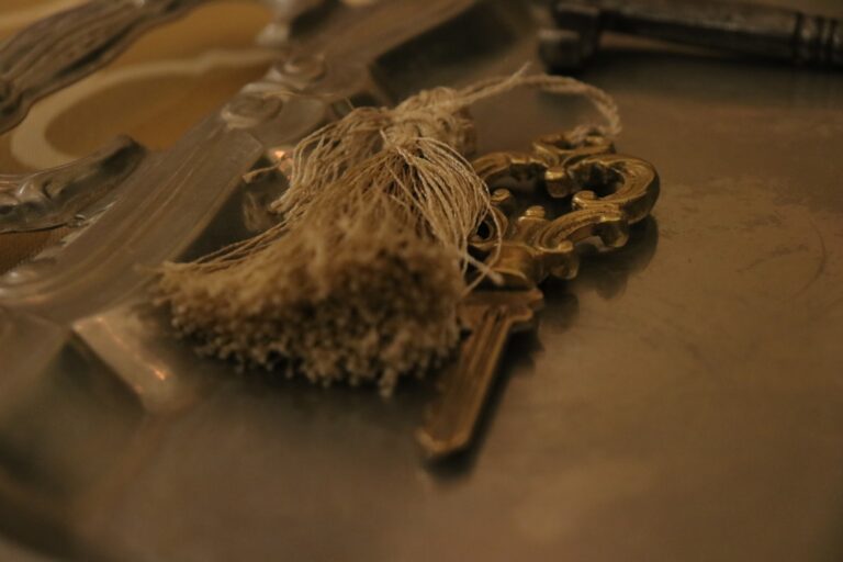 450474076_3278164675654116_7130677260312993707_n