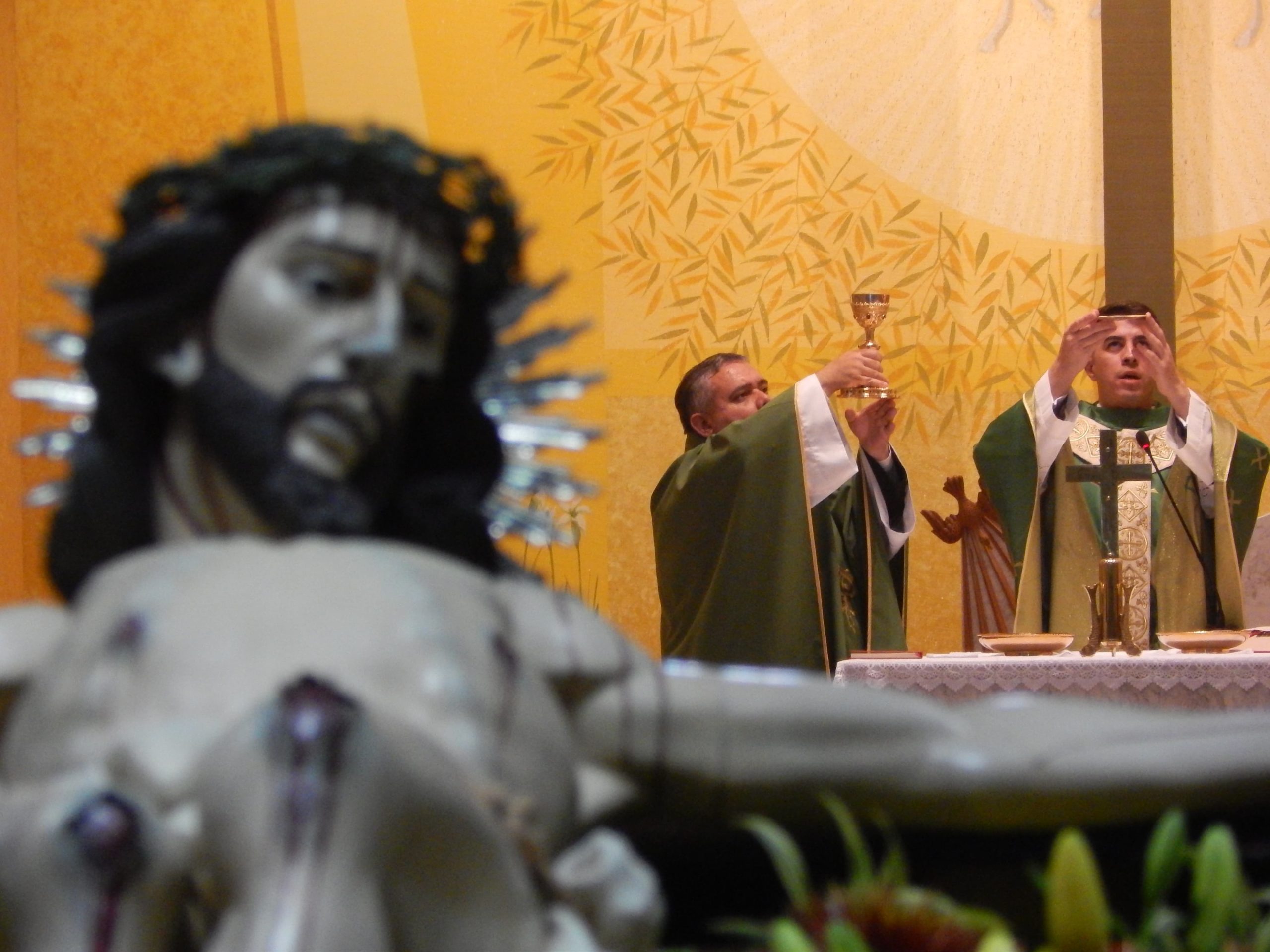 6a3fde02-189c-4a88-9ed7-e3860c20445d