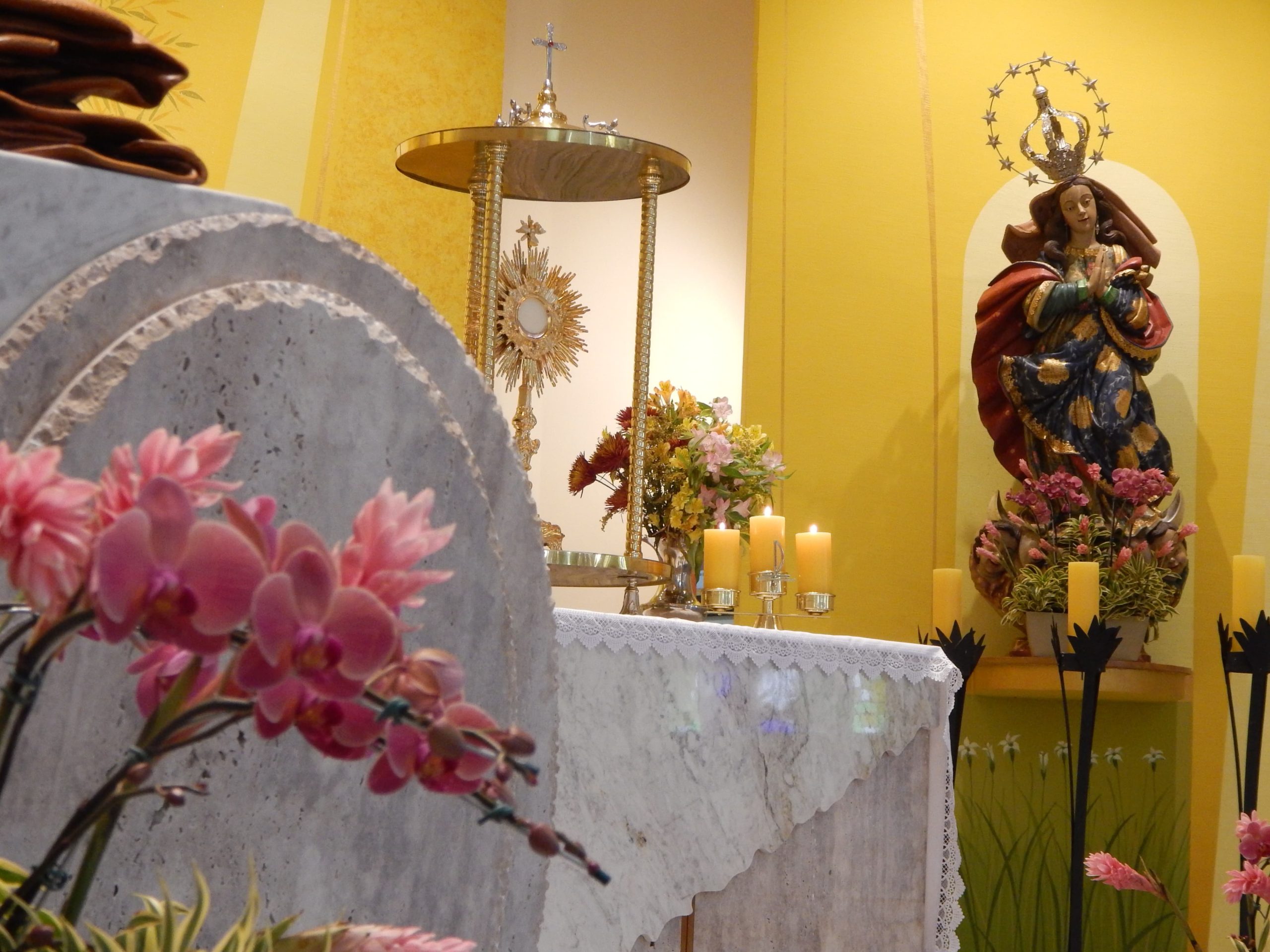 bf3e93fd-72a5-429a-a4f6-a0899b897530