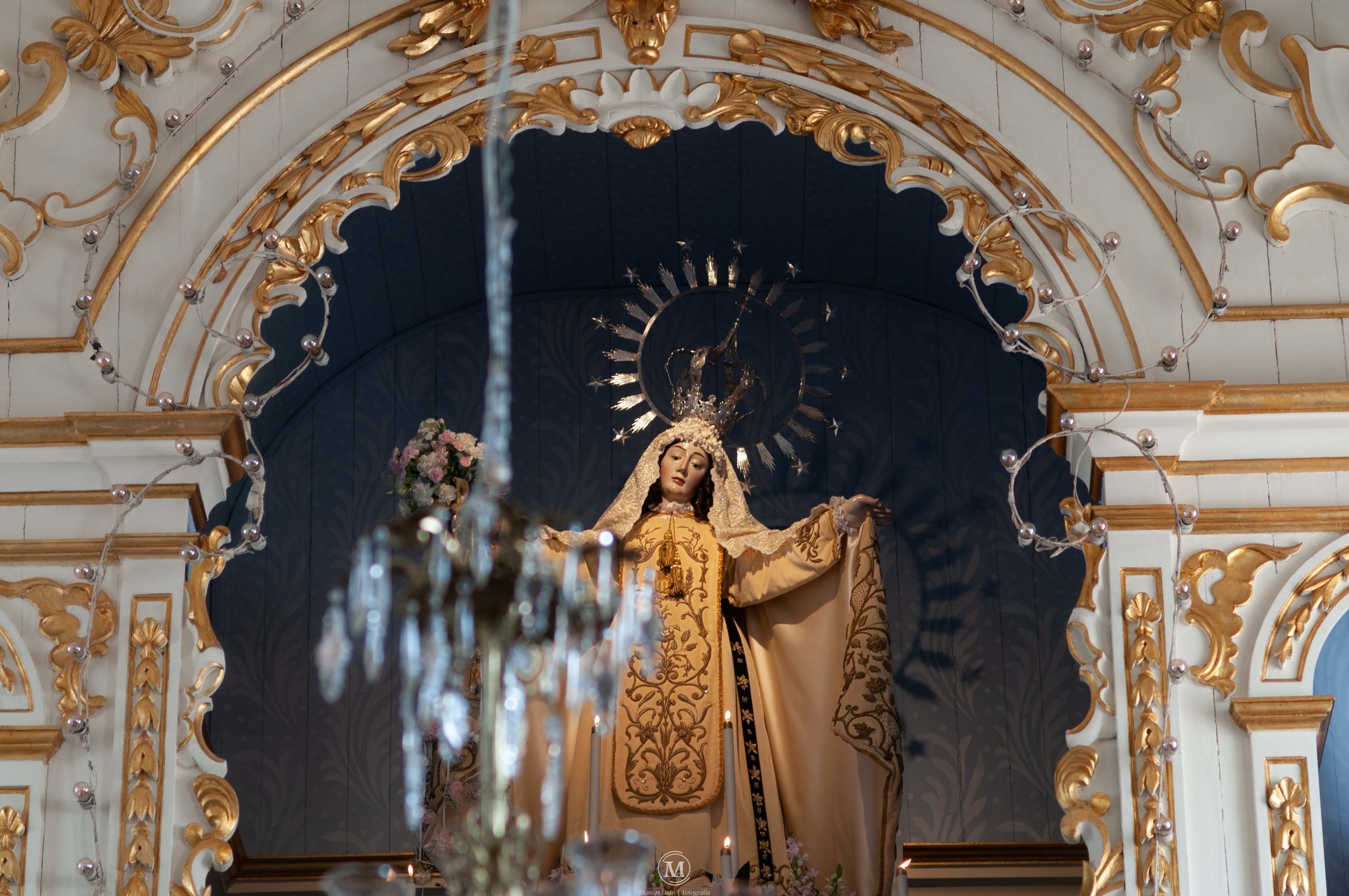 461194534_955796493243470_8877616648607089668_n