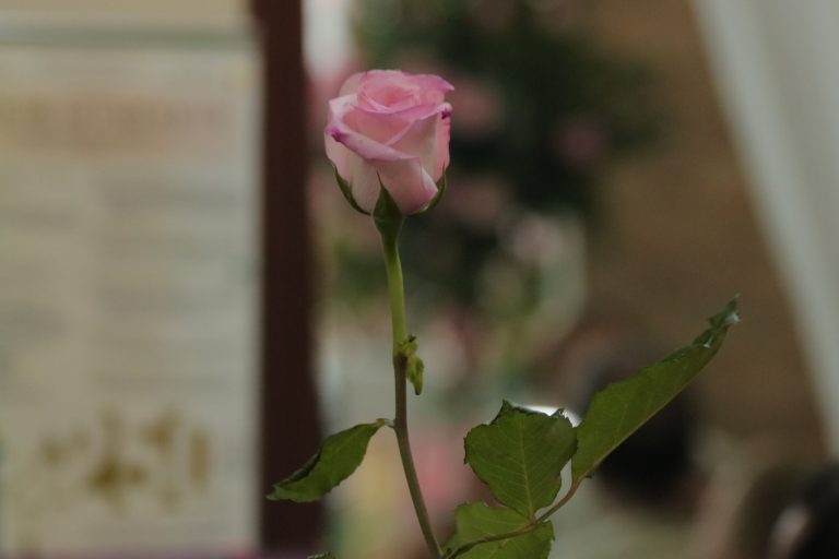 461796541_3361570613980188_5131158393754671377_n