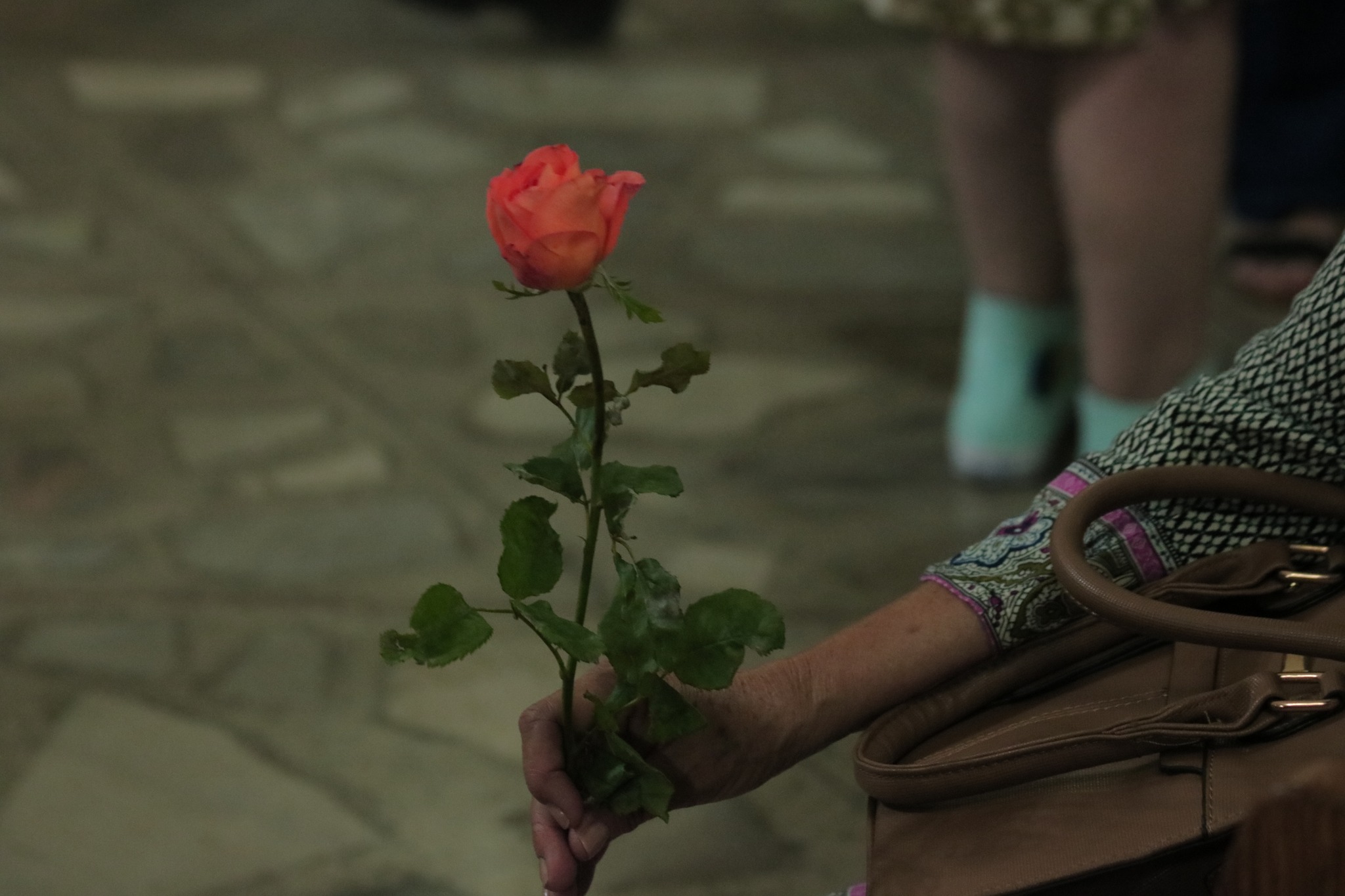 461875793_3361570933980156_2086856671620601168_n