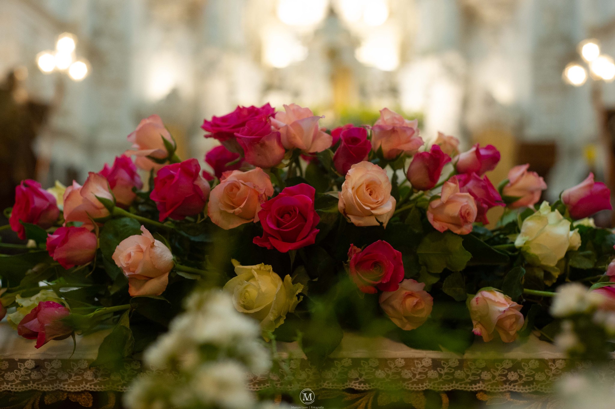 462800122_970595251763594_1680402107528015997_n