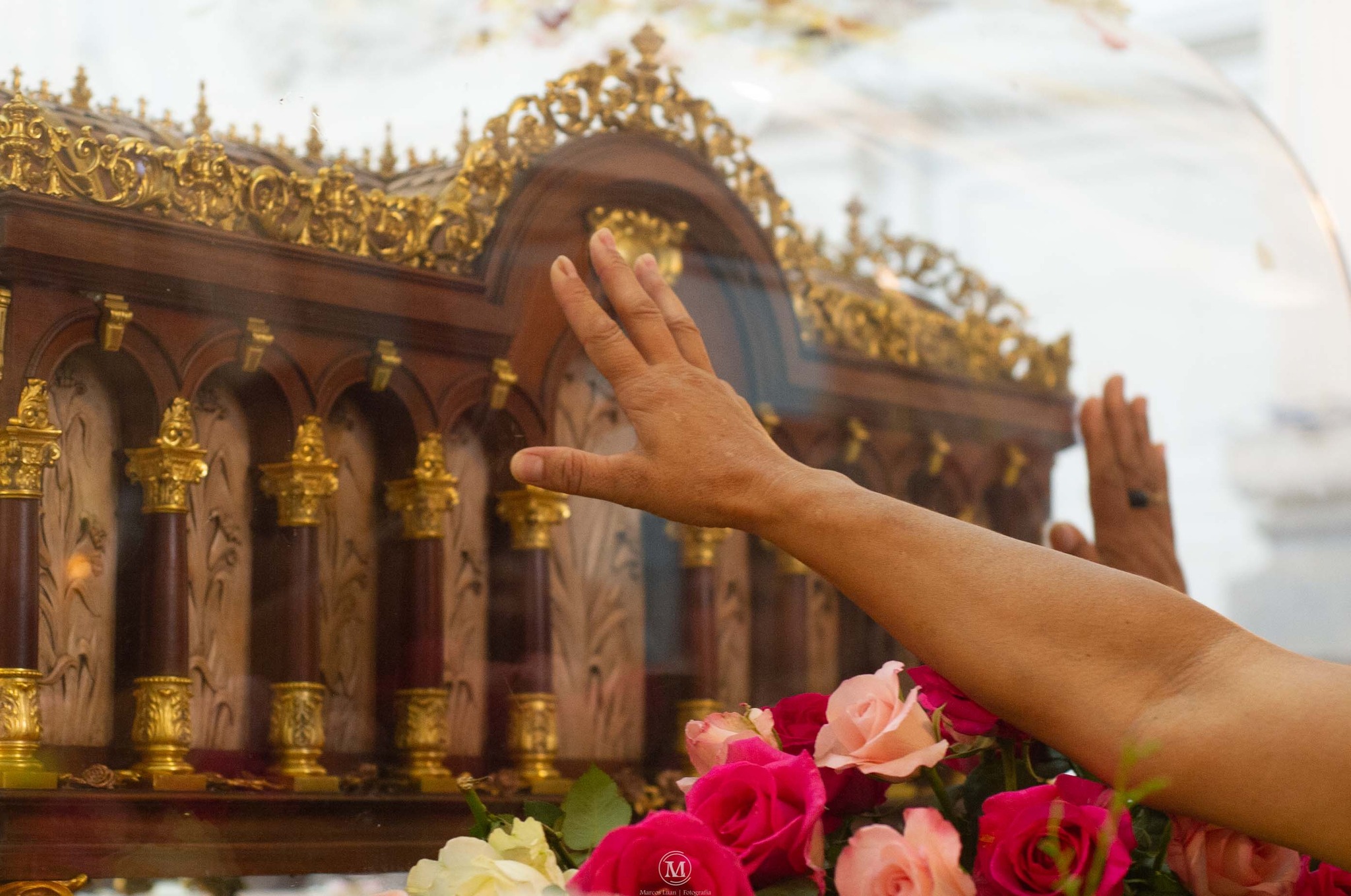 462902672_970597698430016_1198904085550387478_n