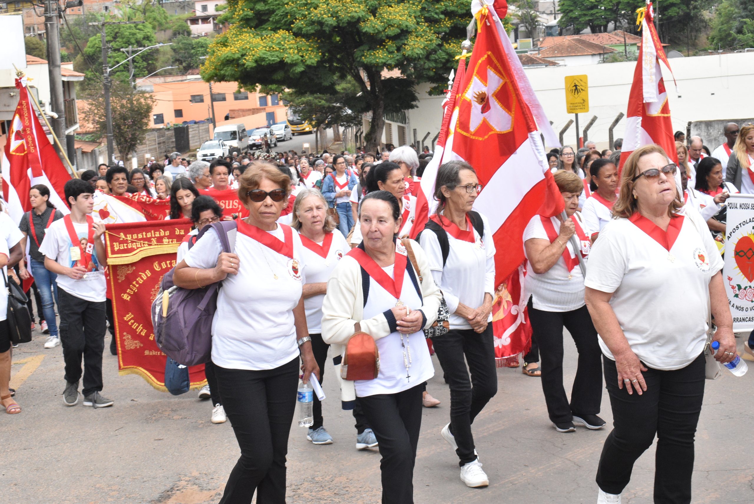 LAERCIO ALVES RIBEIRO