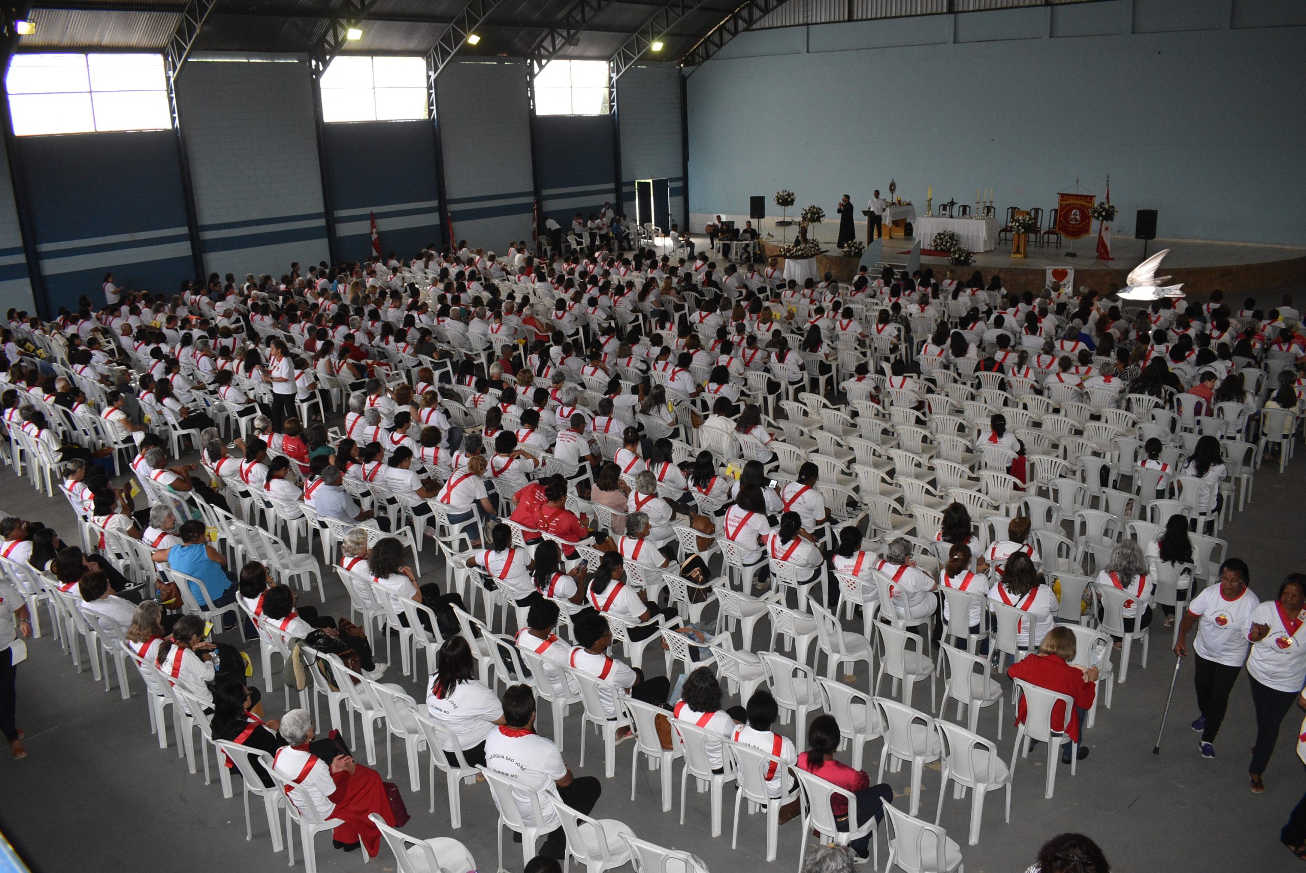 LAERCIO ALVES RIBEIRO