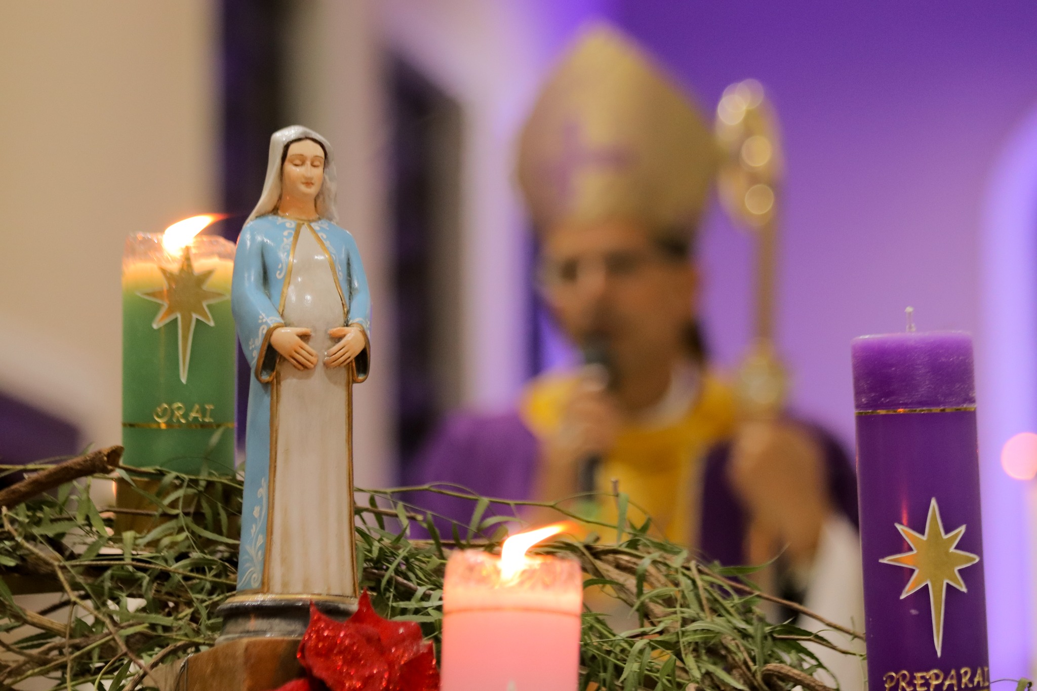 471128288_3450895231714392_3957828603789311418_n