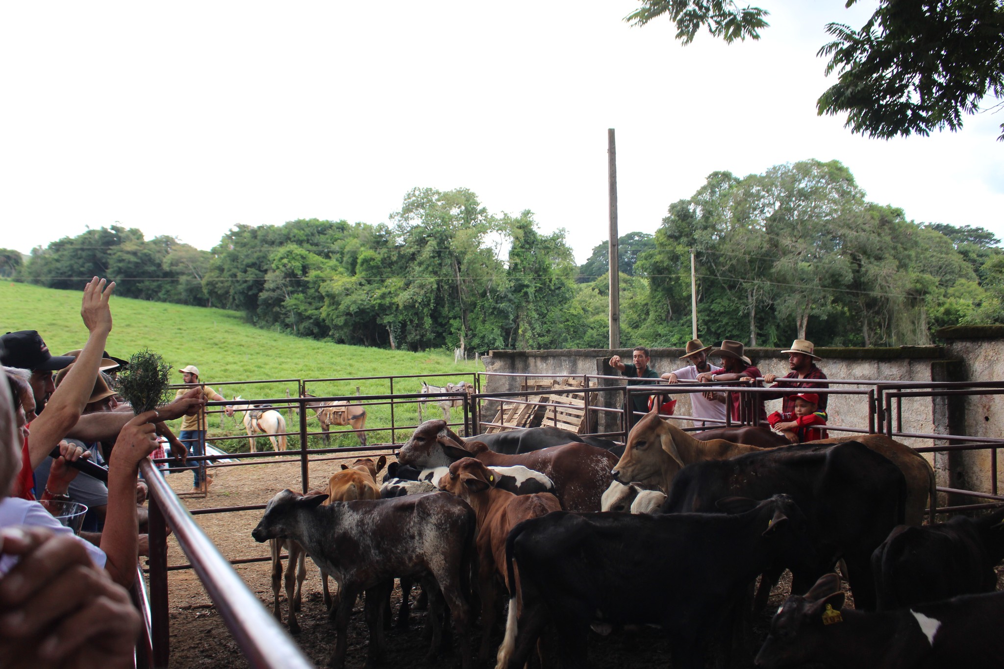 473568882_1038482221655445_384877352635776234_n