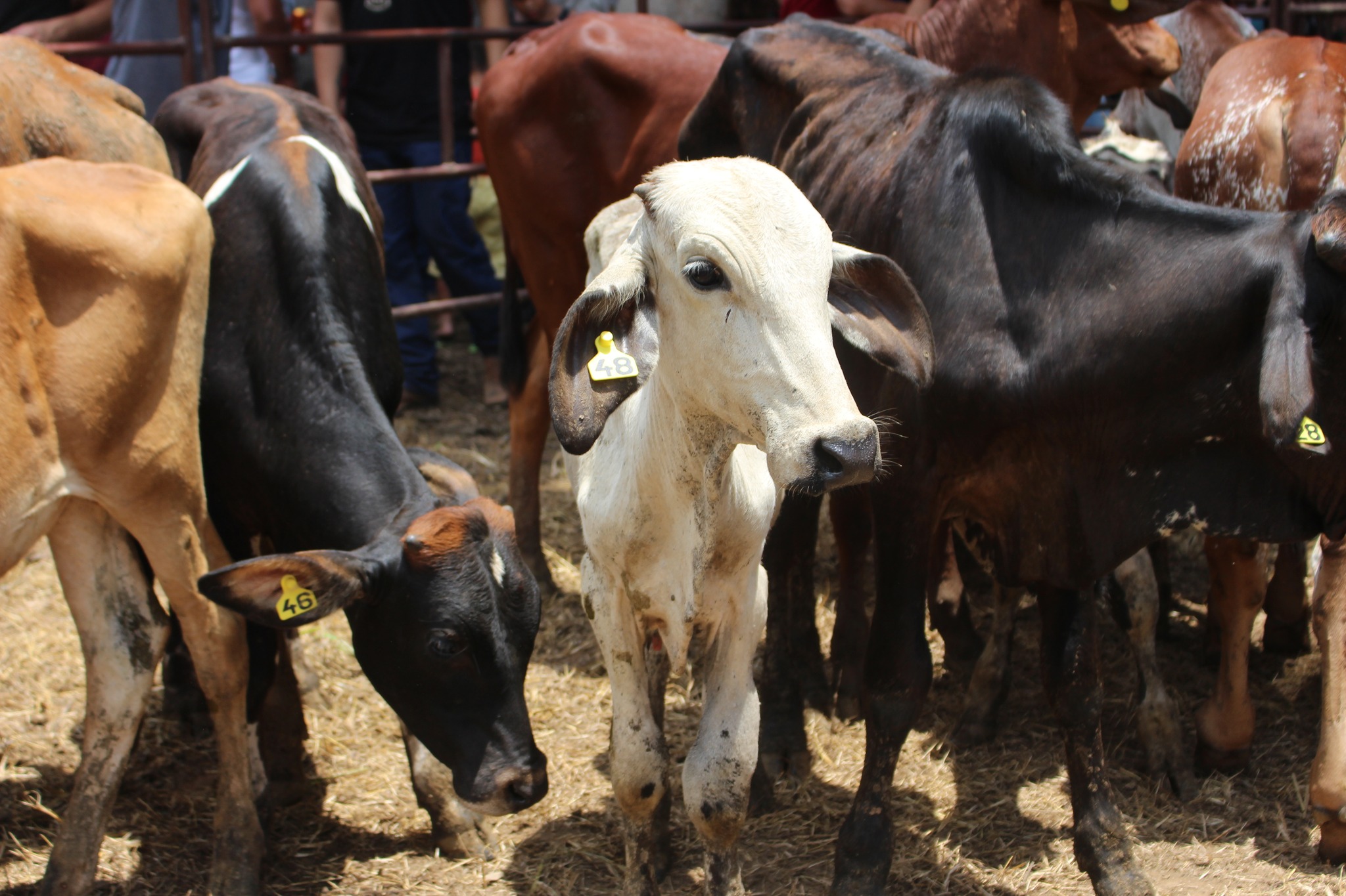 473751005_1038482231655444_7925129130003561904_n