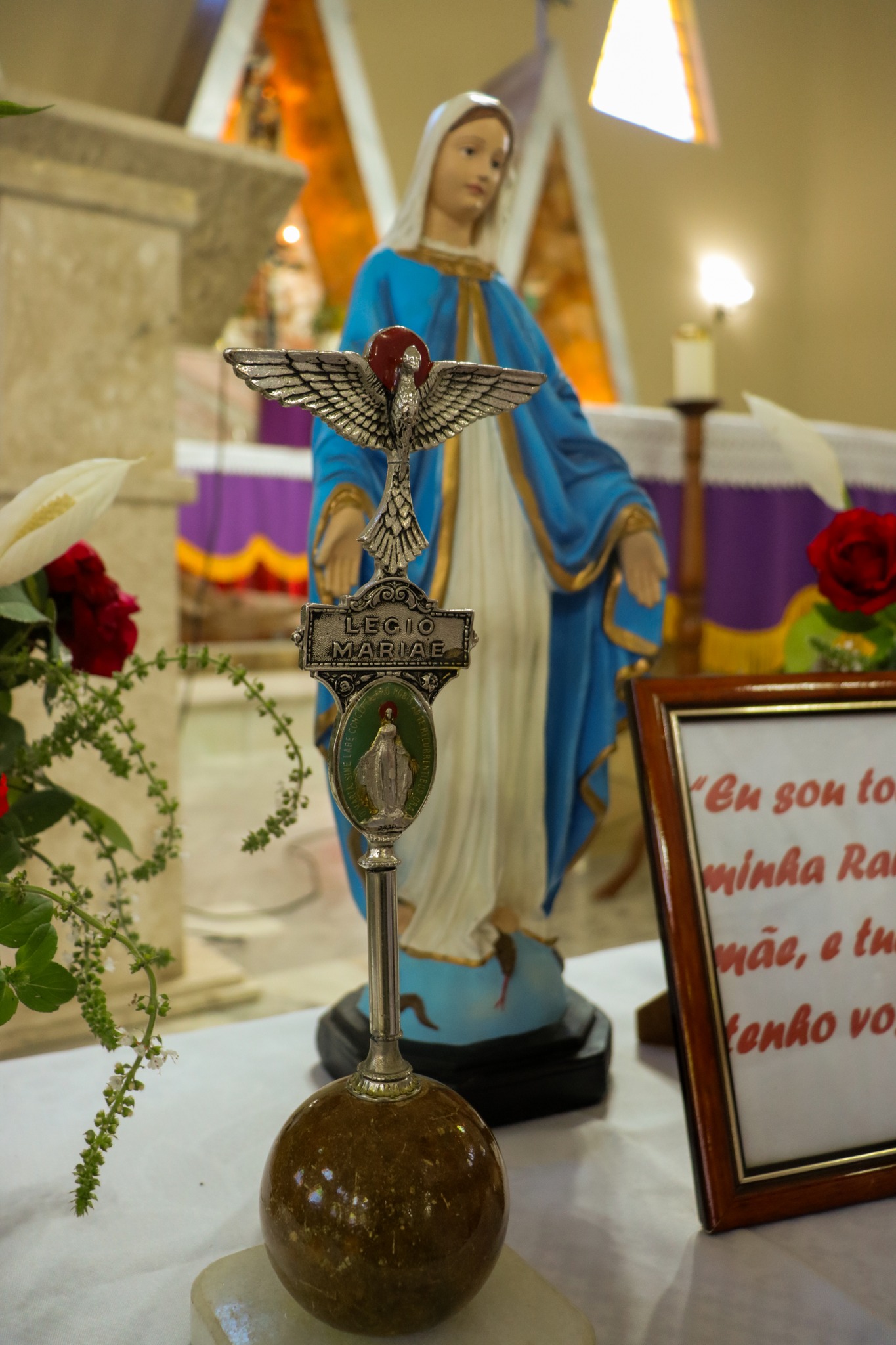 484860284_3530181563785758_4489345455257679555_n